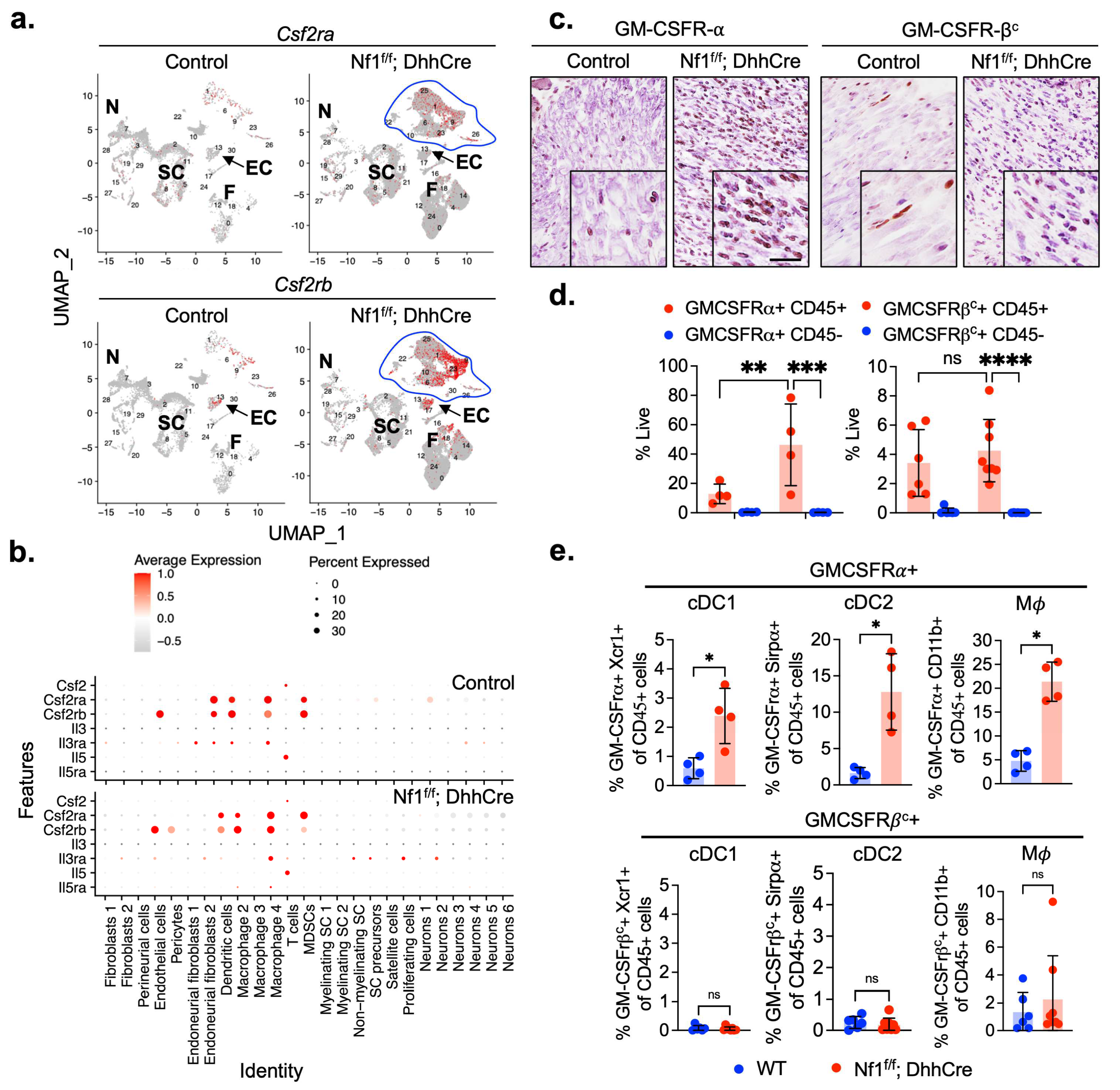Cancers 17 00905 g001