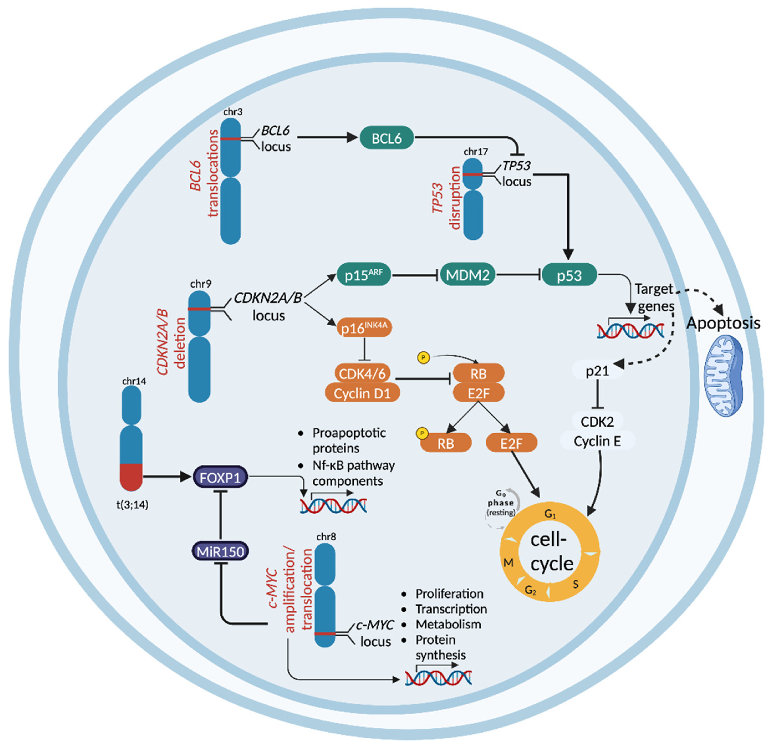 Cancers 17 00907 g001