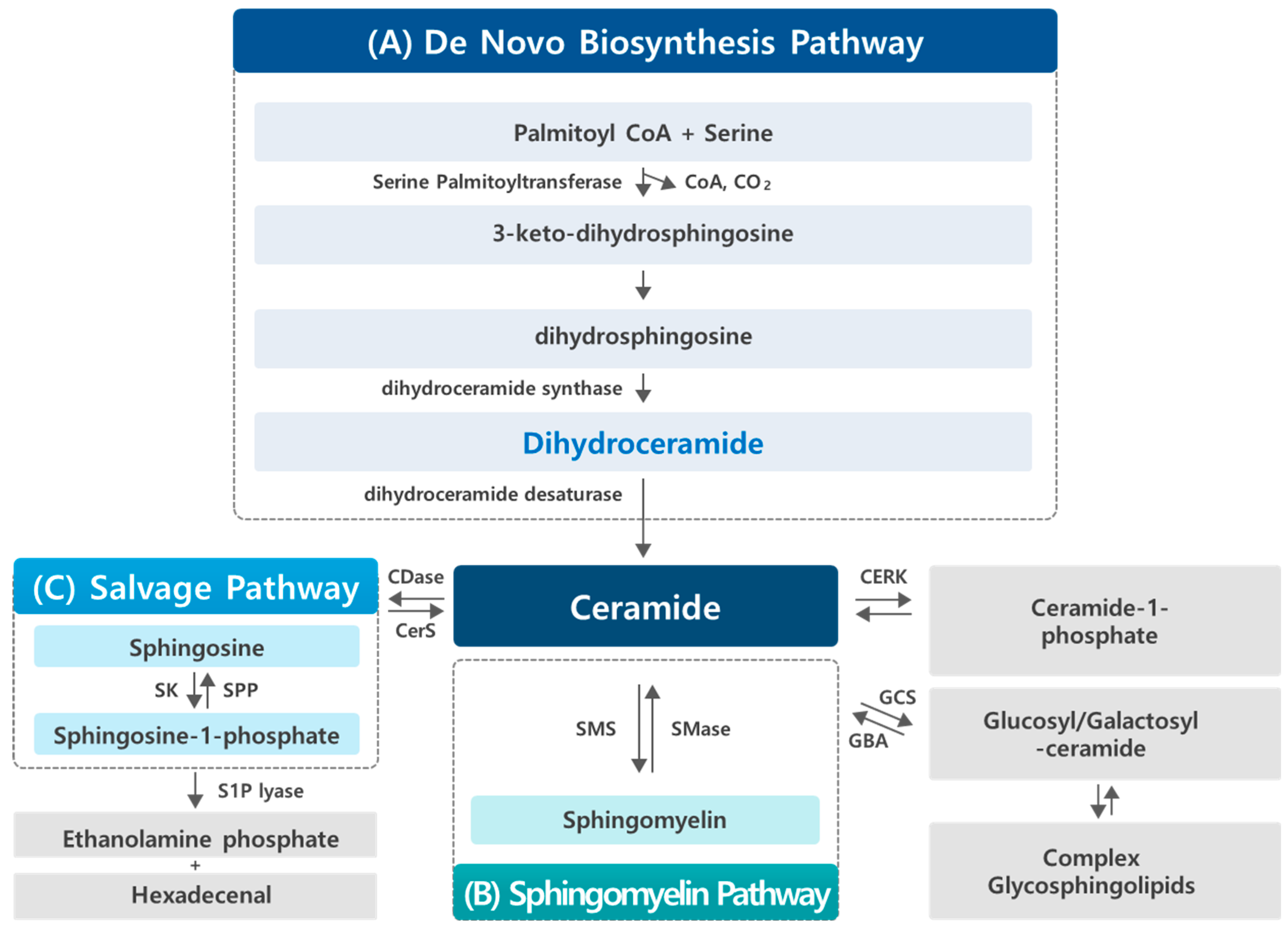 Cancers 17 00909 g001 Cancers 17 00909 g001