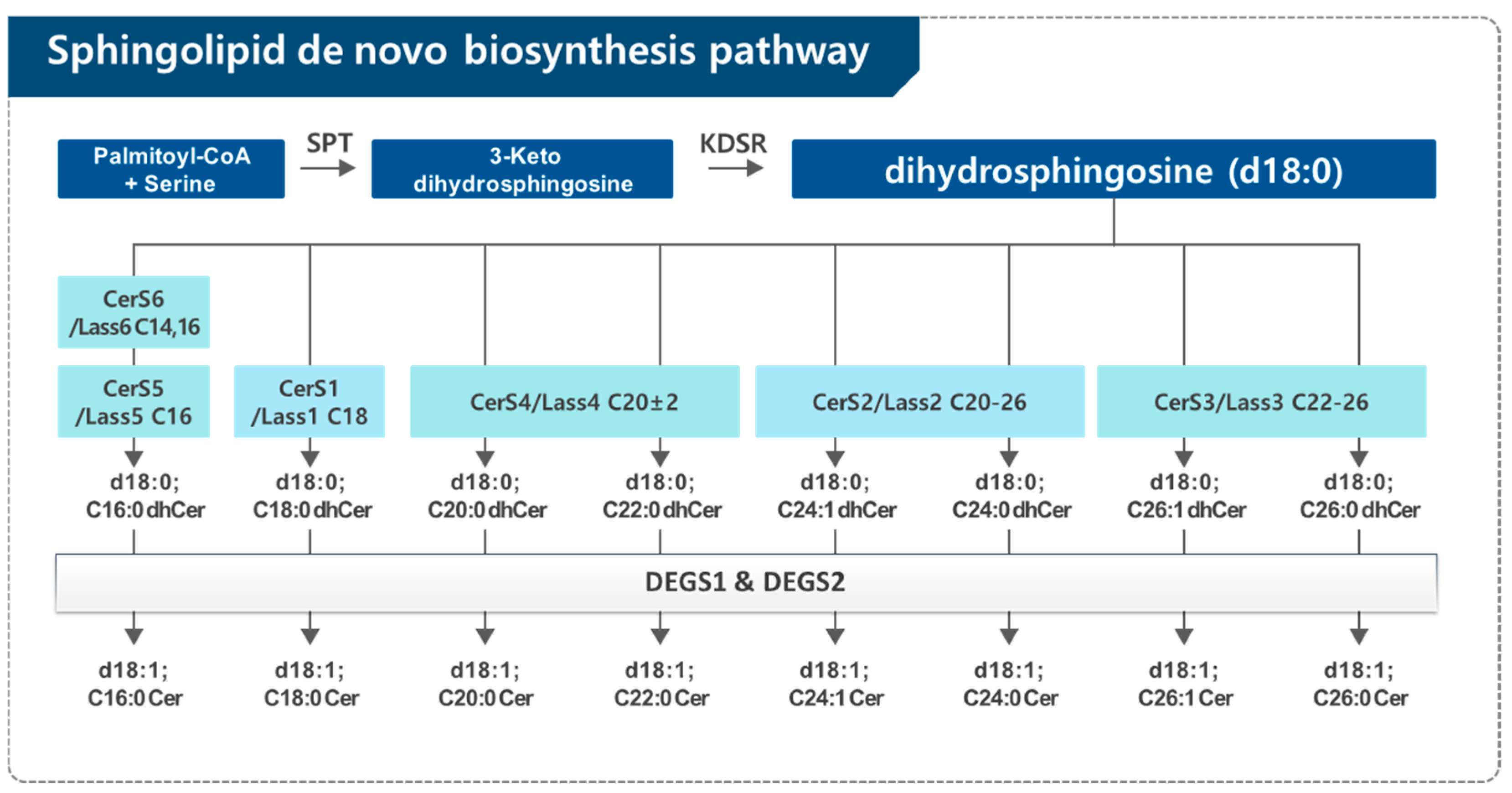 Cancers 17 00909 g002 Cancers 17 00909 g002
