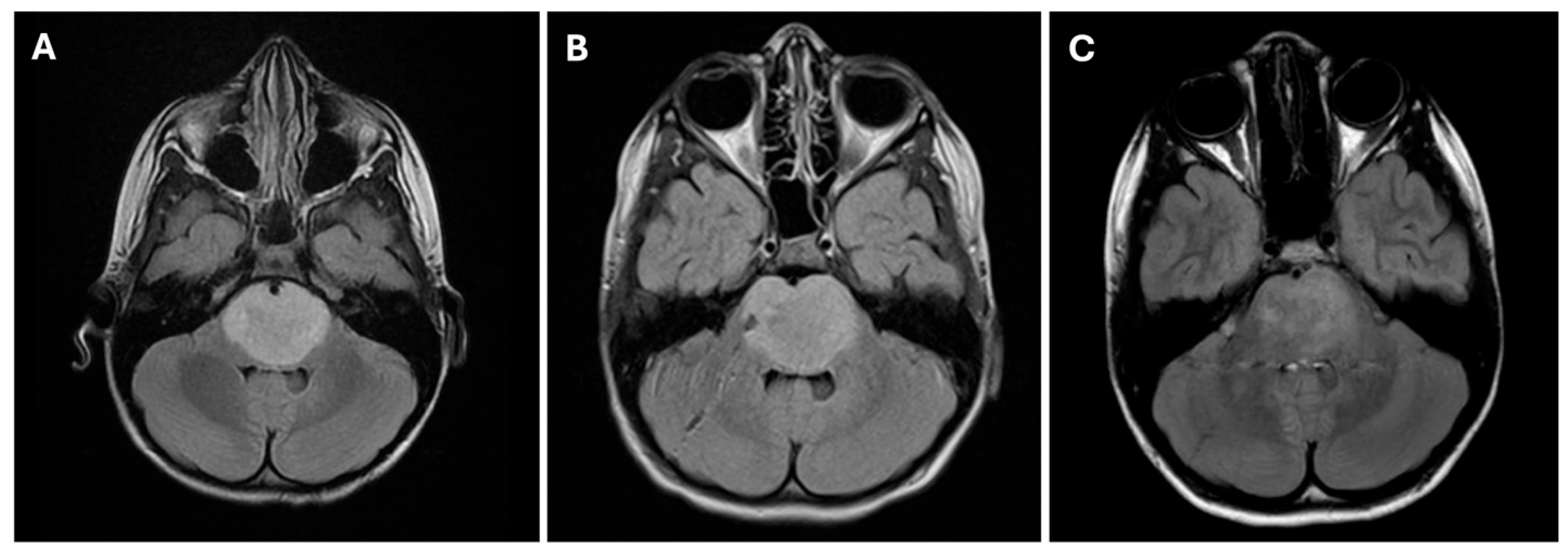 Cancers 17 00931 g001
