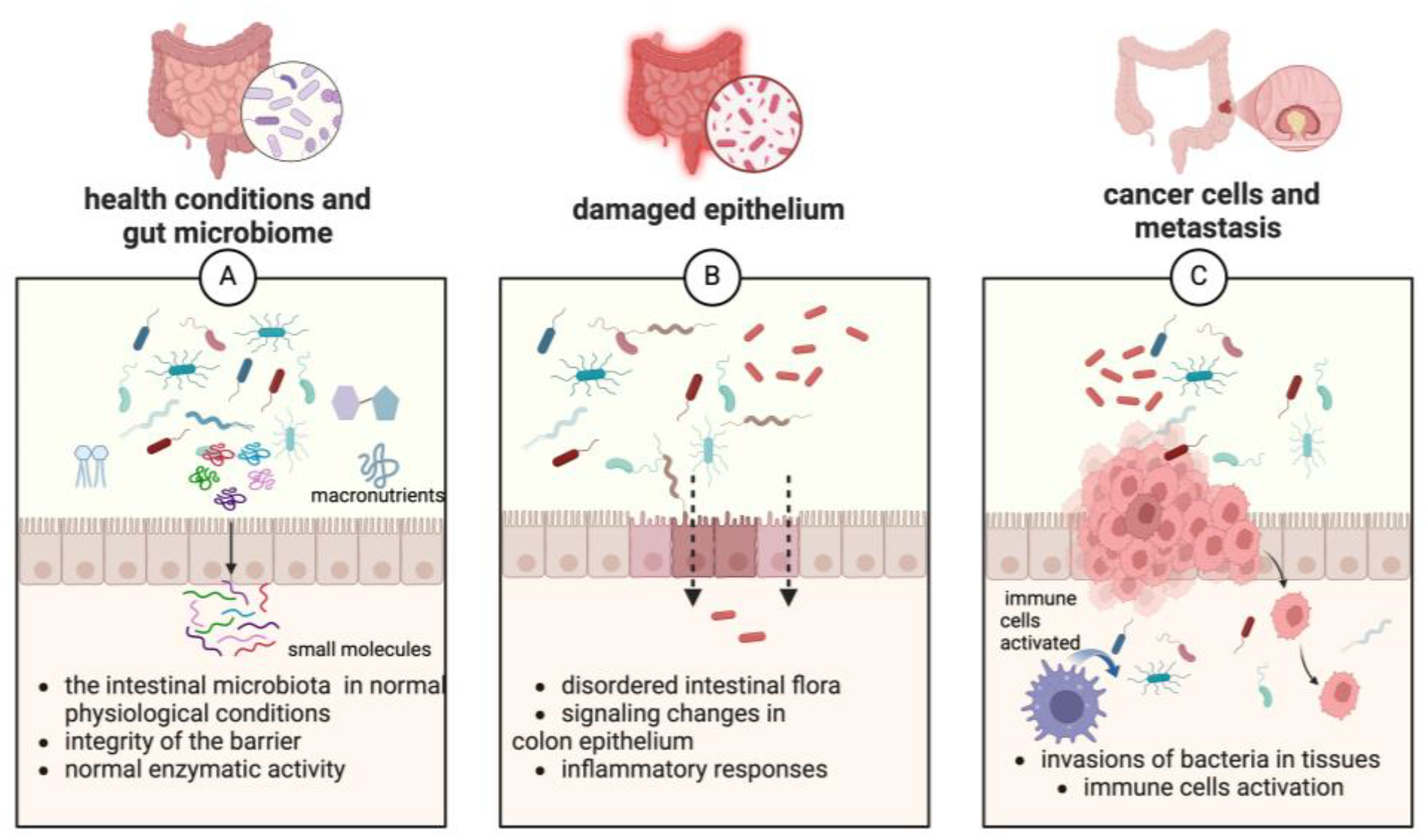 Cancers 17 00938 g002