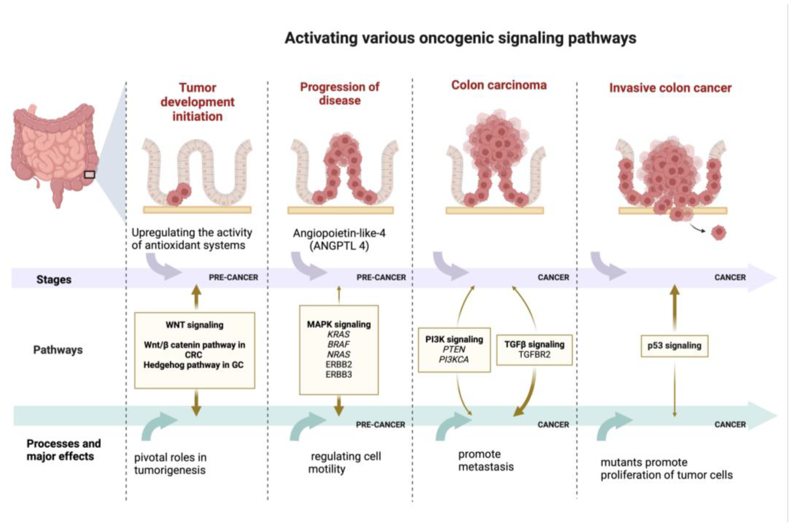 Cancers 17 00938 g003