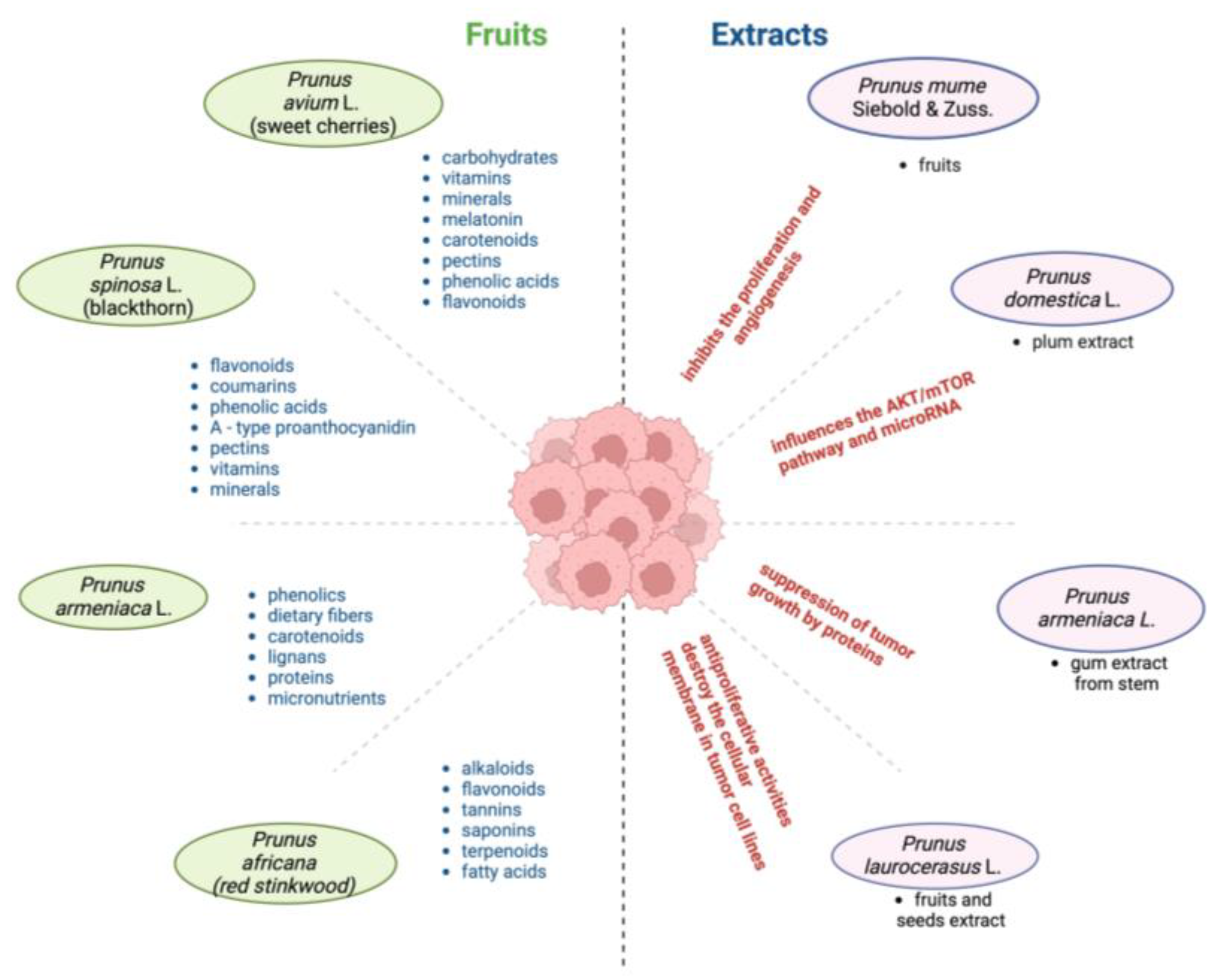 Cancers 17 00938 g004