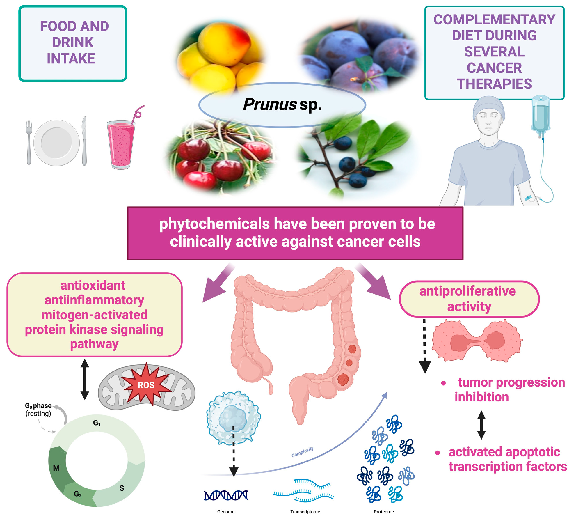 Cancers 17 00938 g005