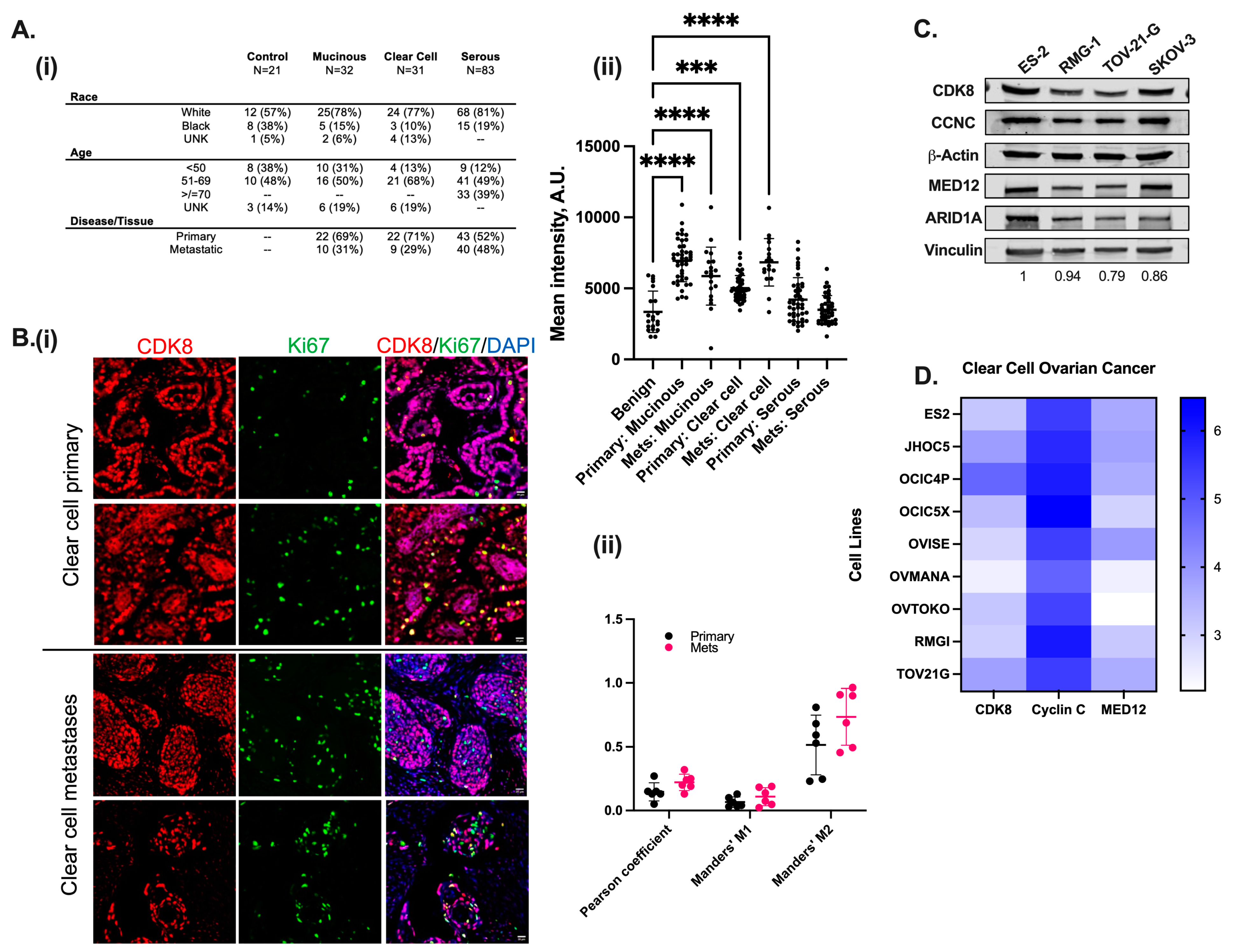 Cancers 17 00941 g001