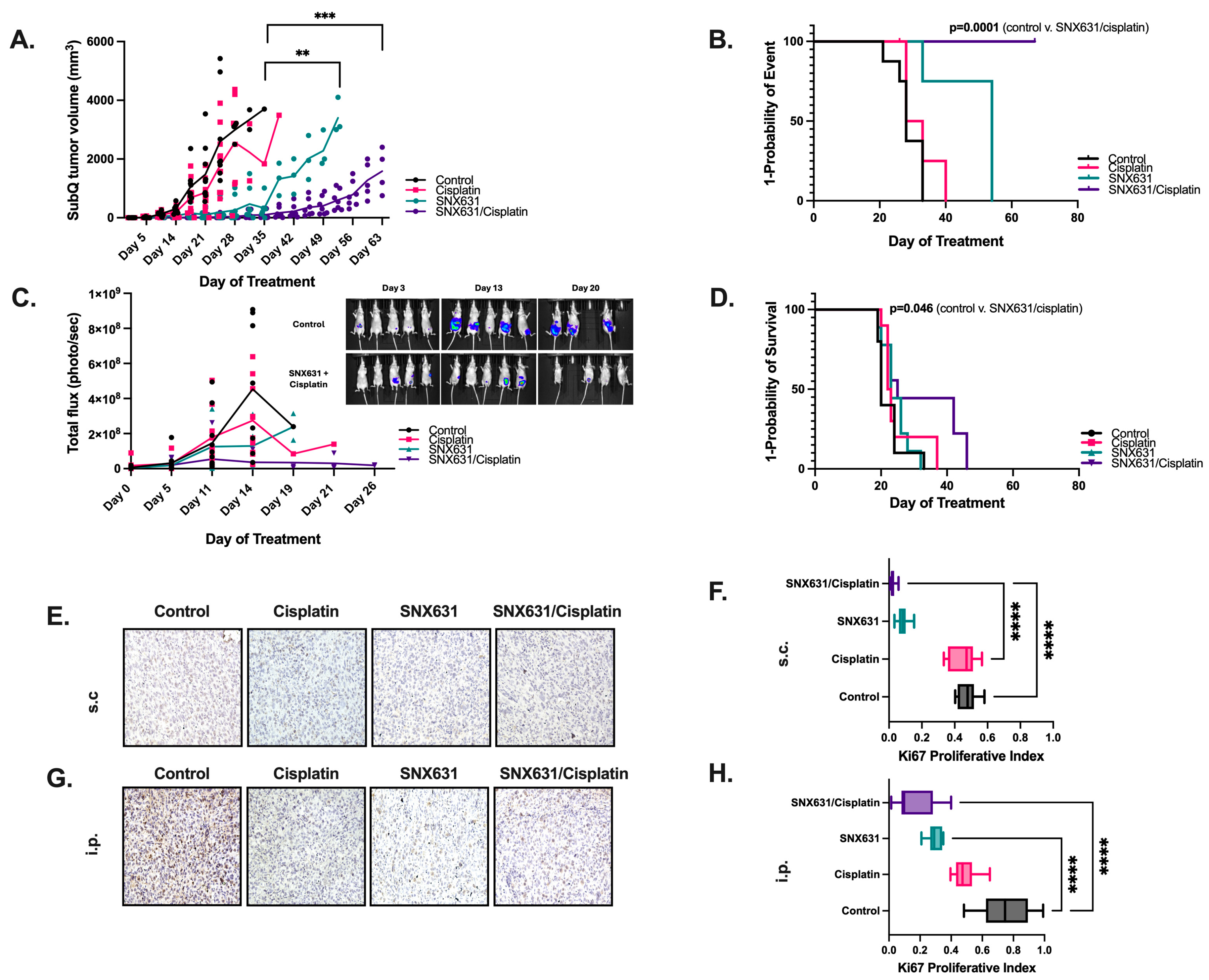 Cancers 17 00941 g004