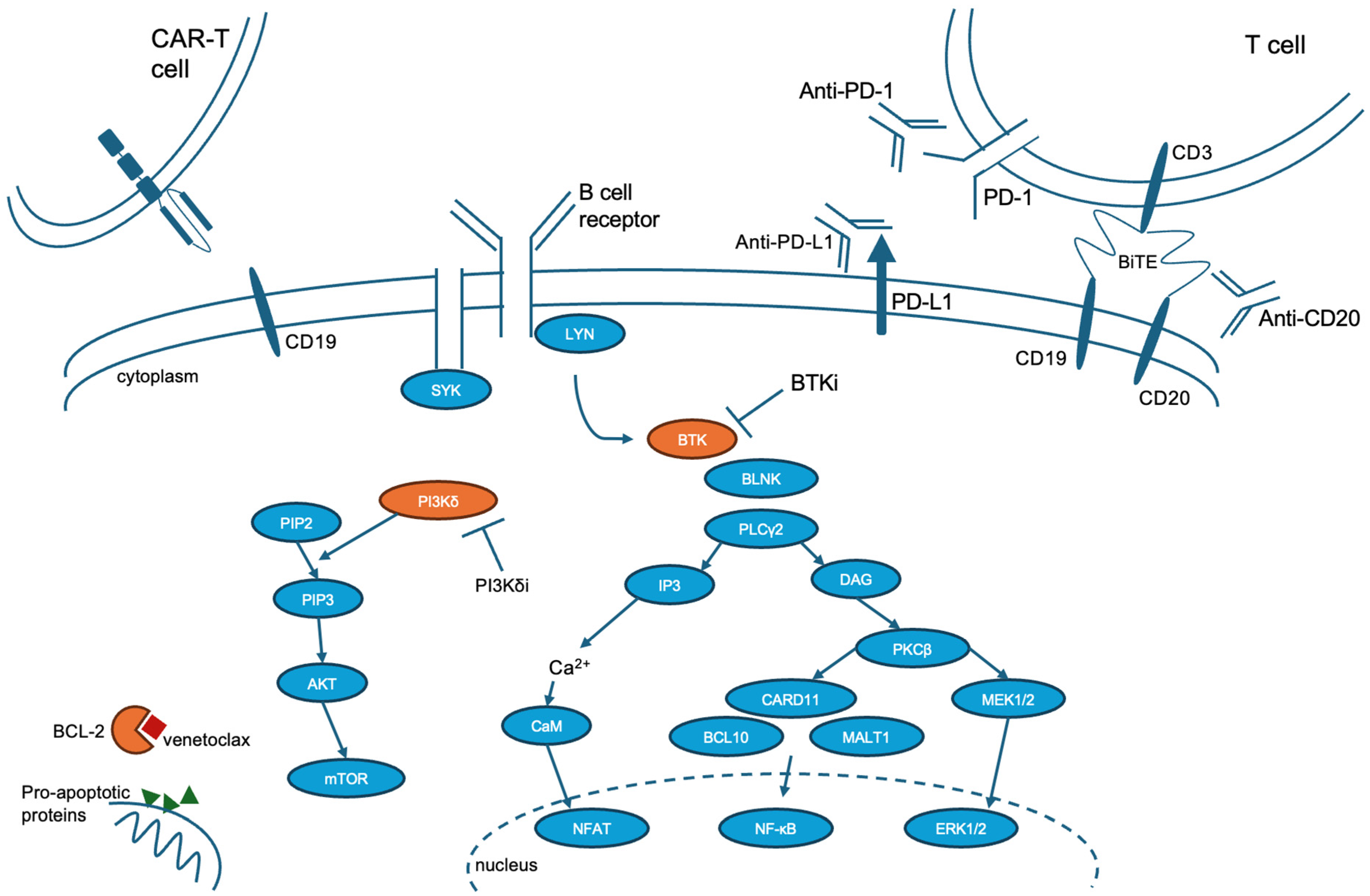 Cancers 17 00943 g001 Cancers 17 00943 g001