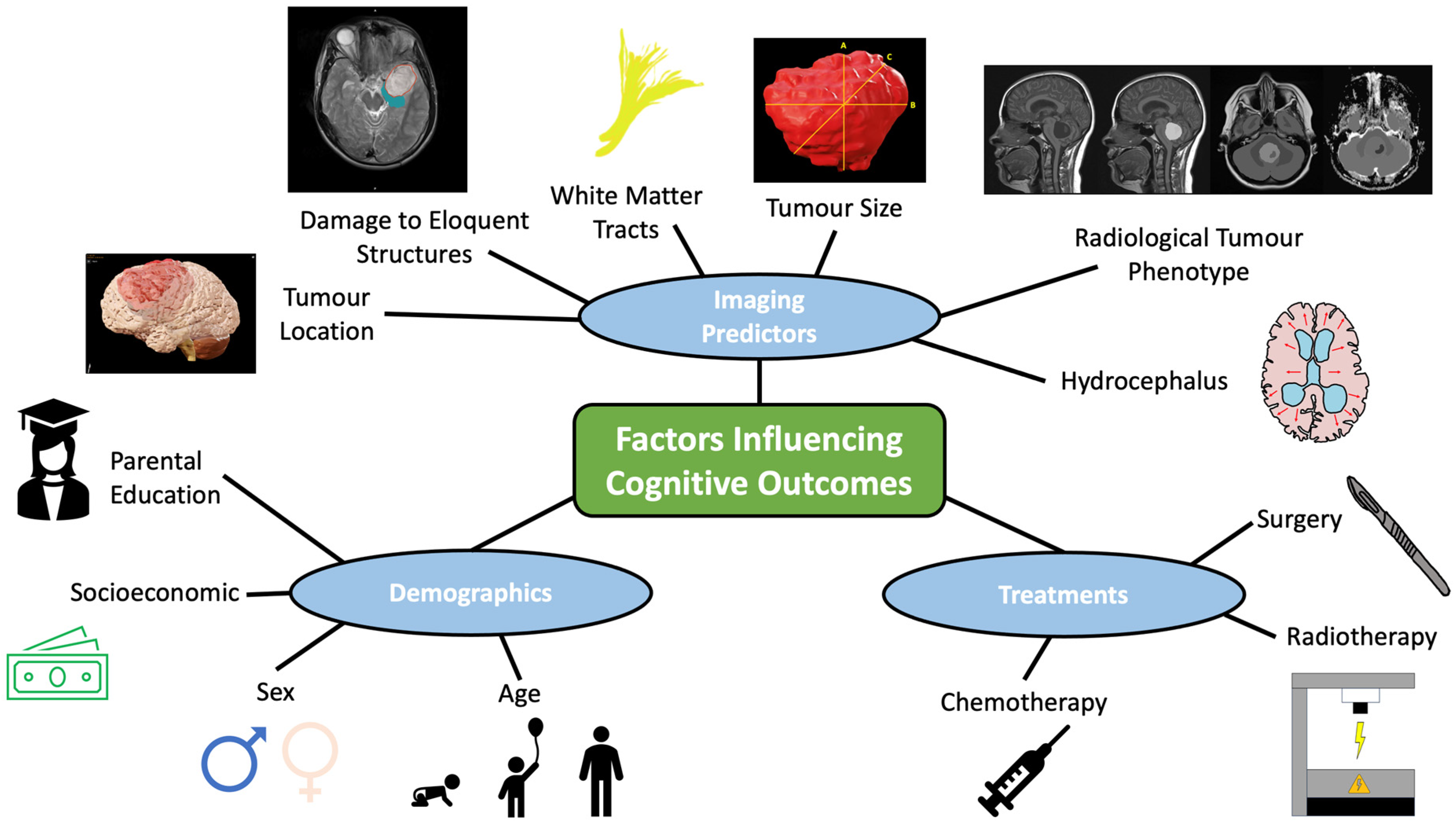 Cancers 17 00947 g008 Cancers 17 00947 g008