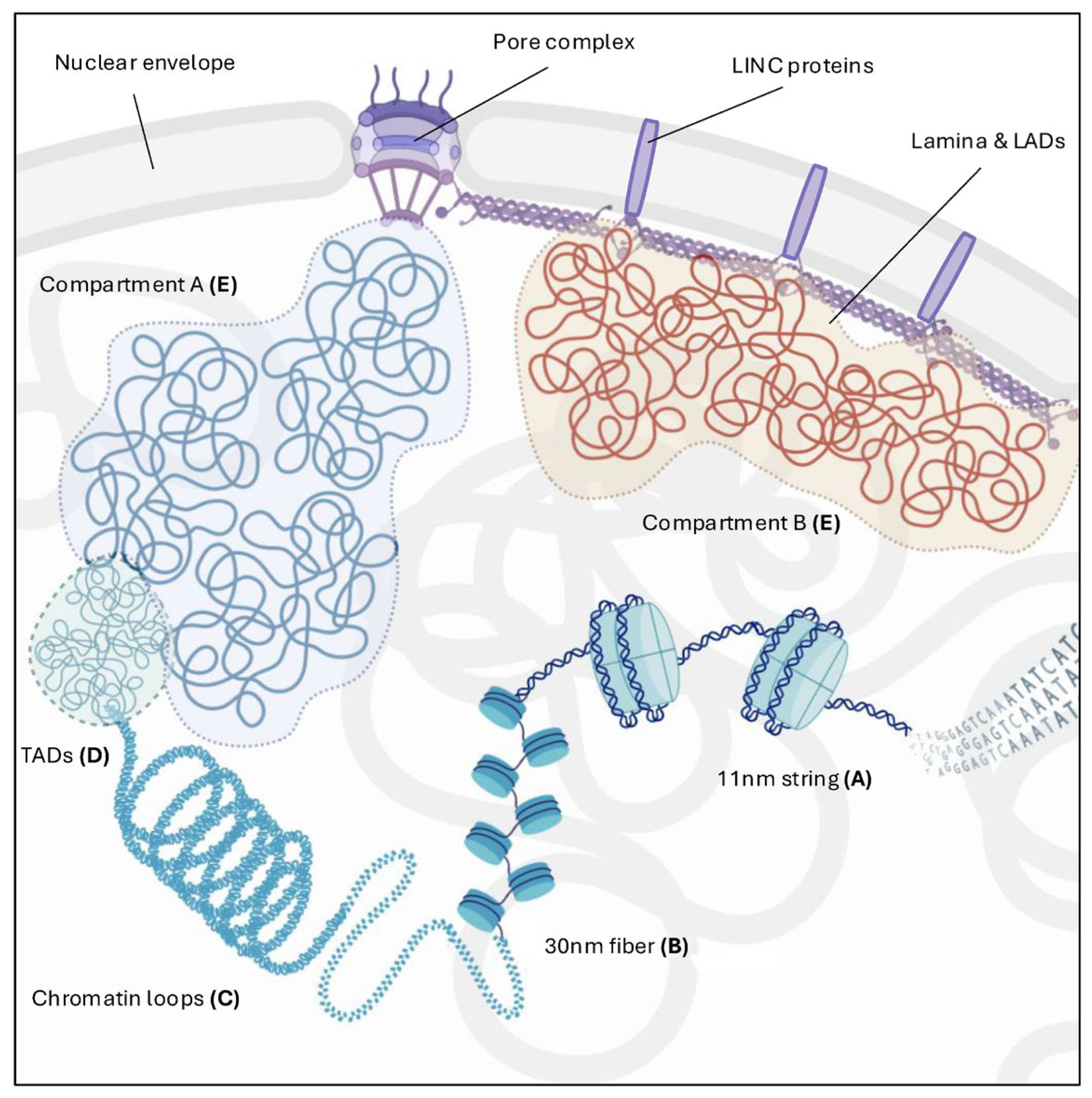 Cancers 17 00949 g001