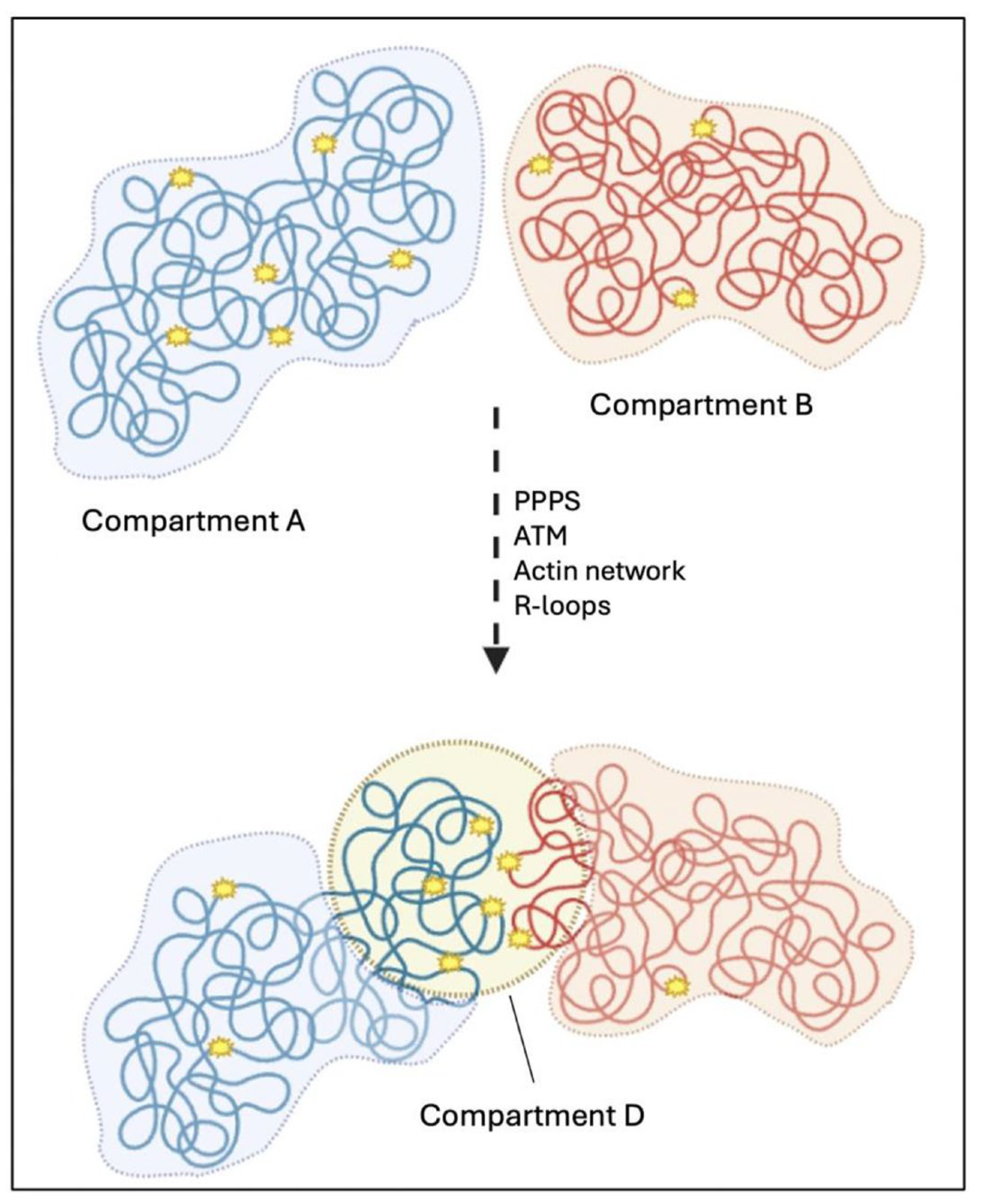 Cancers 17 00949 g004