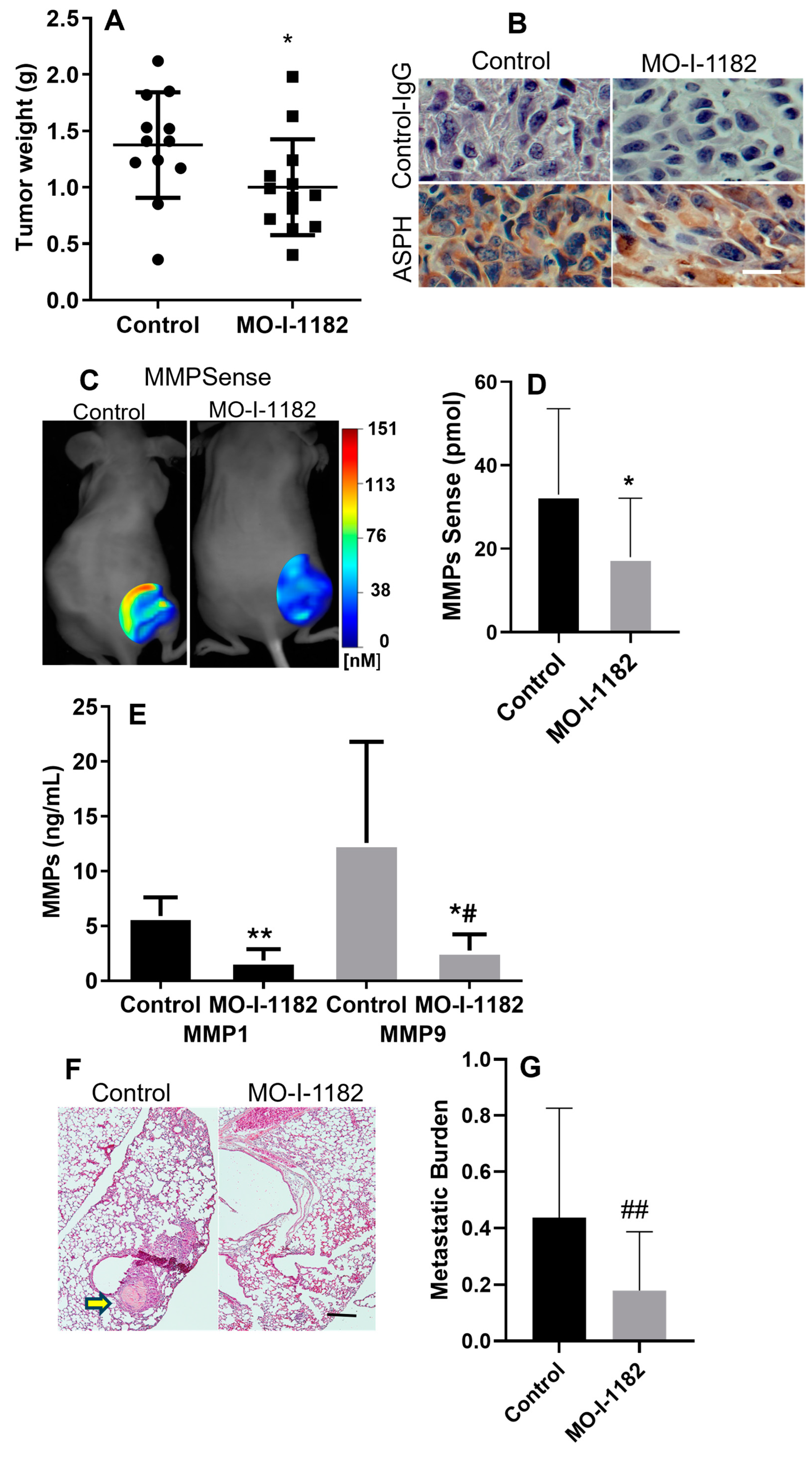 Cancers 17 00951 g005