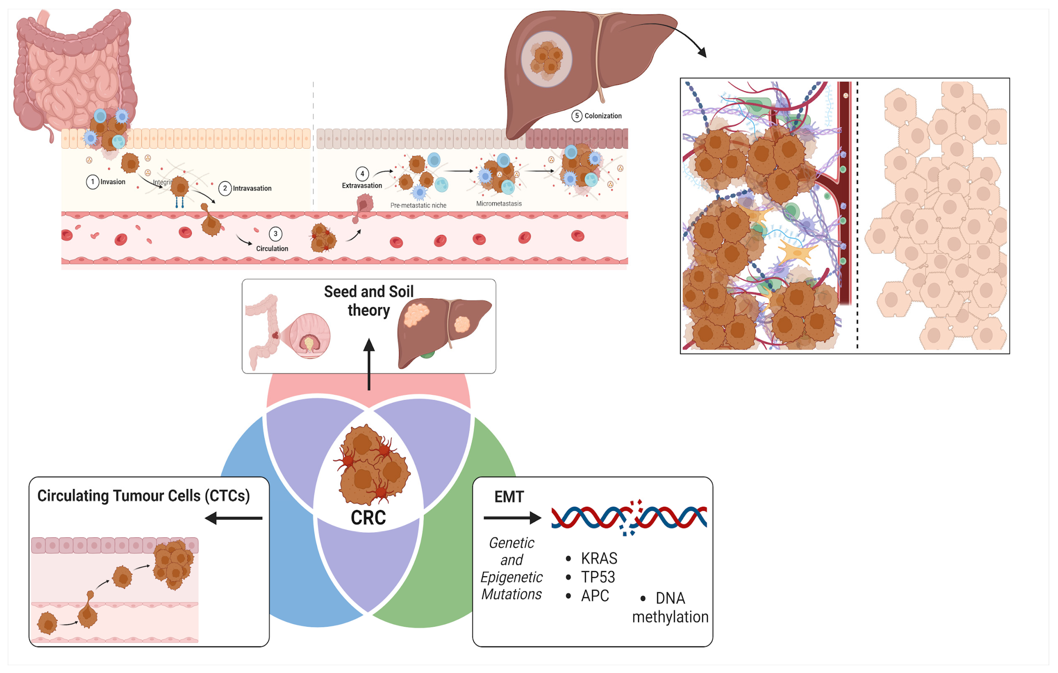 Cancers 17 00953 g001 Cancers 17 00953 g001