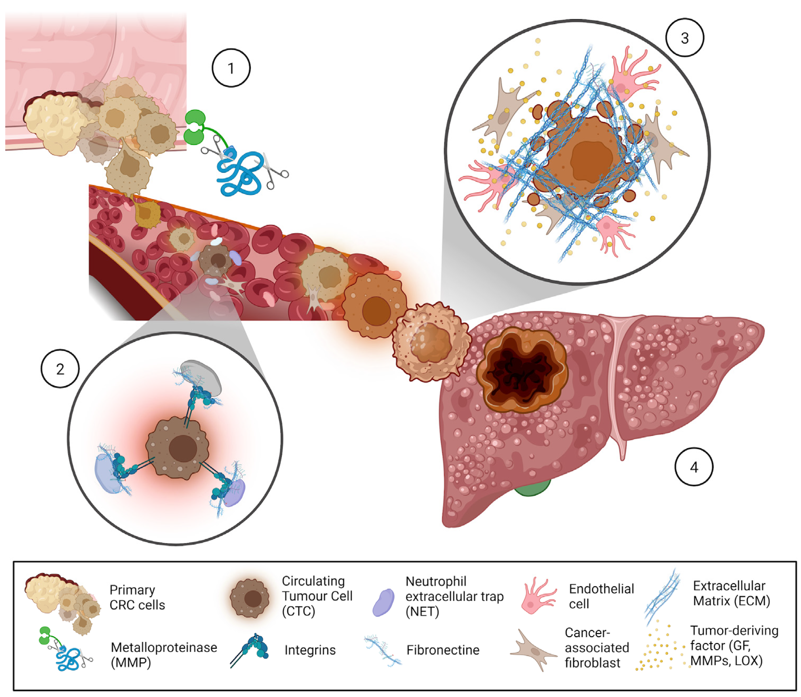 Cancers 17 00953 g002 Cancers 17 00953 g002