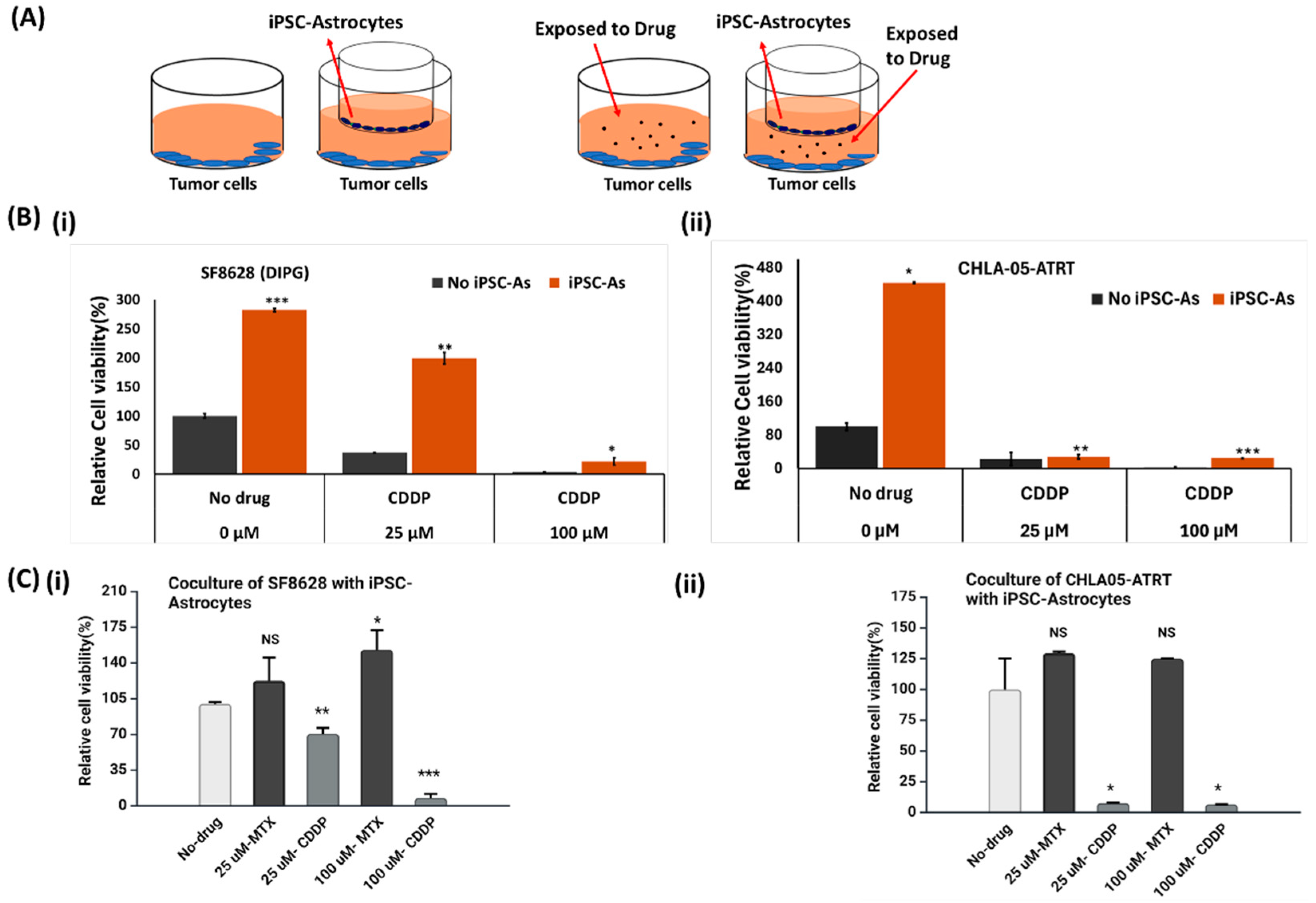 Cancers 17 00997 g003