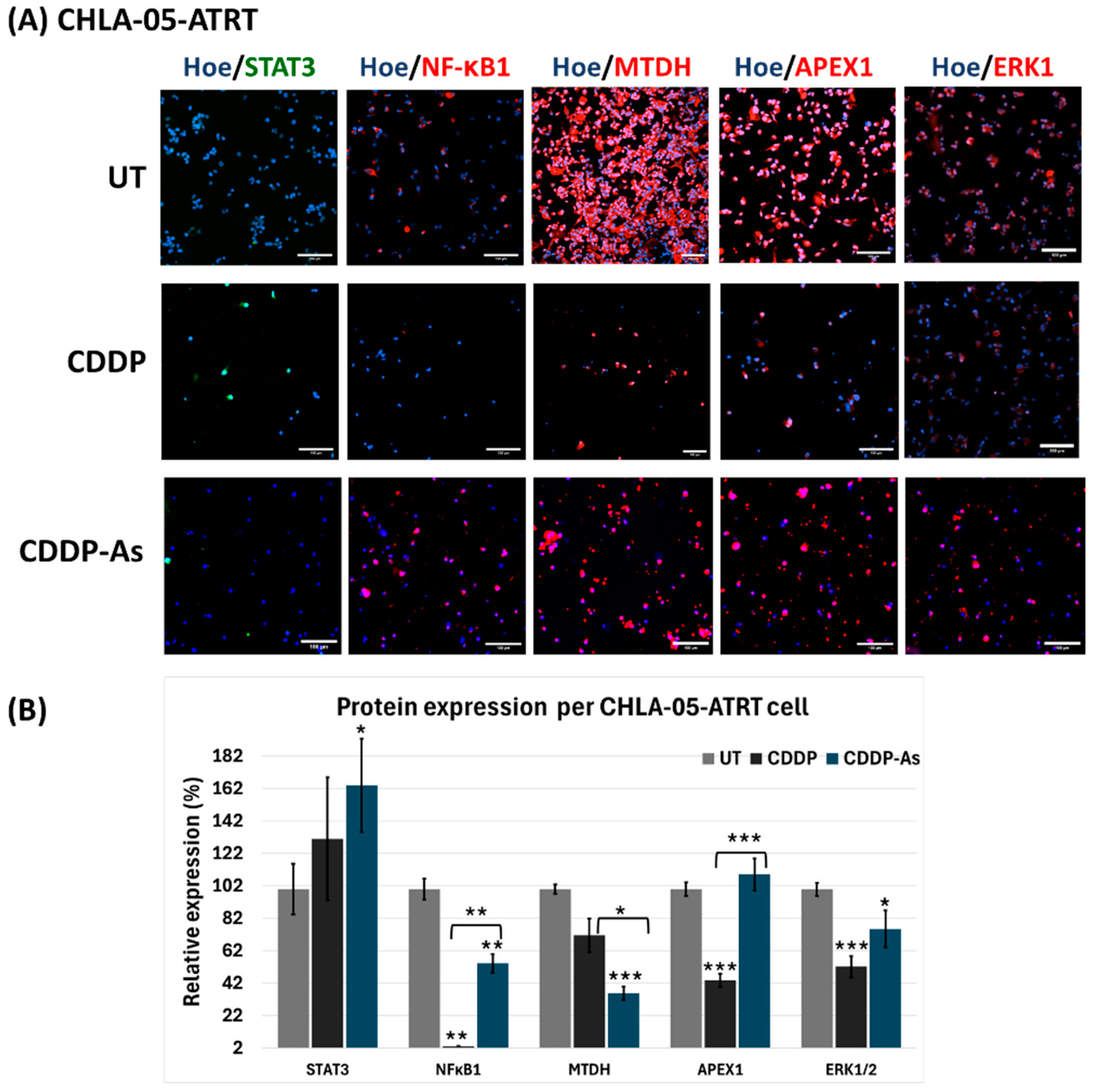 Cancers 17 00997 g006