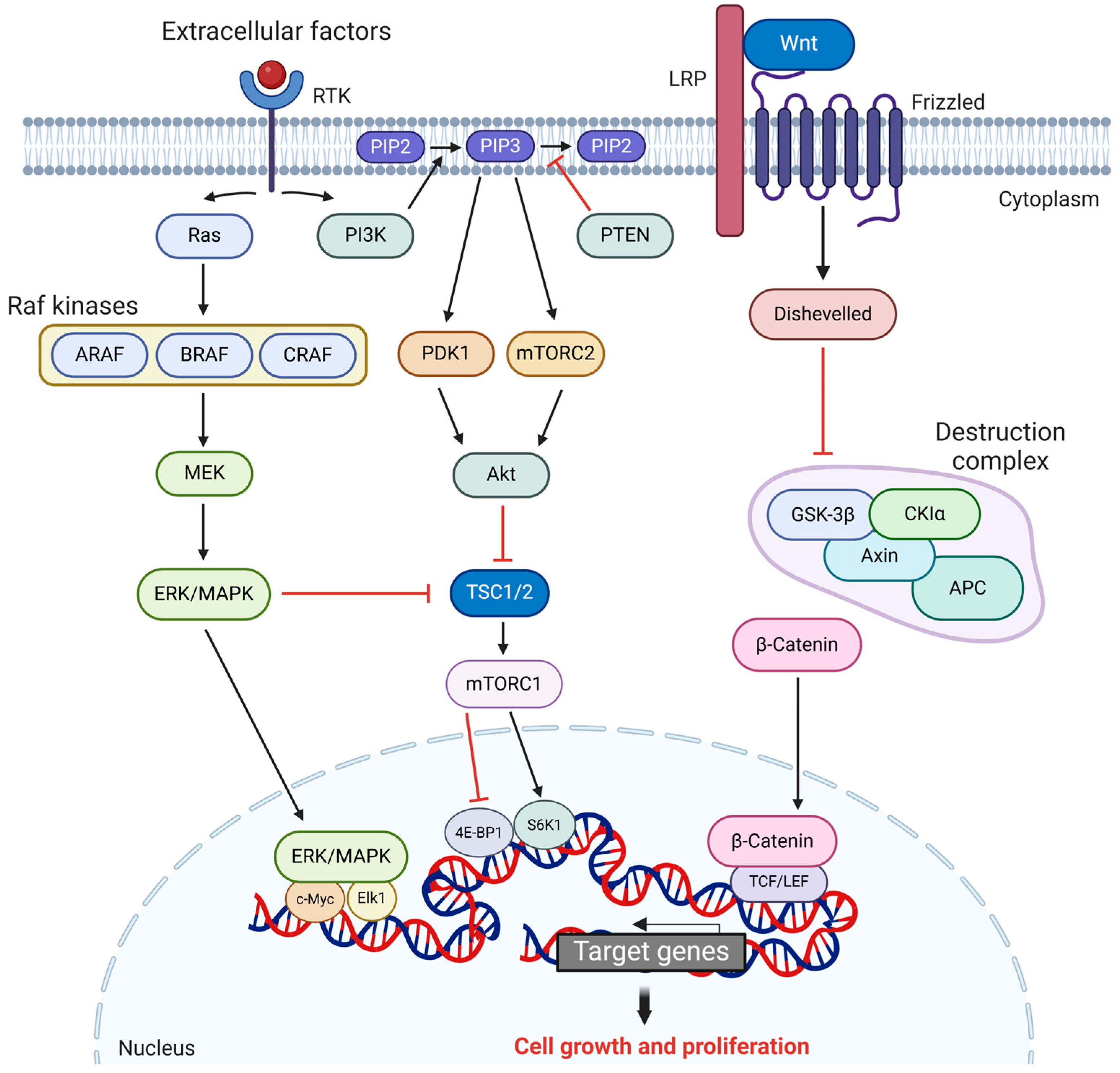 Cancers 17 01008 g002
