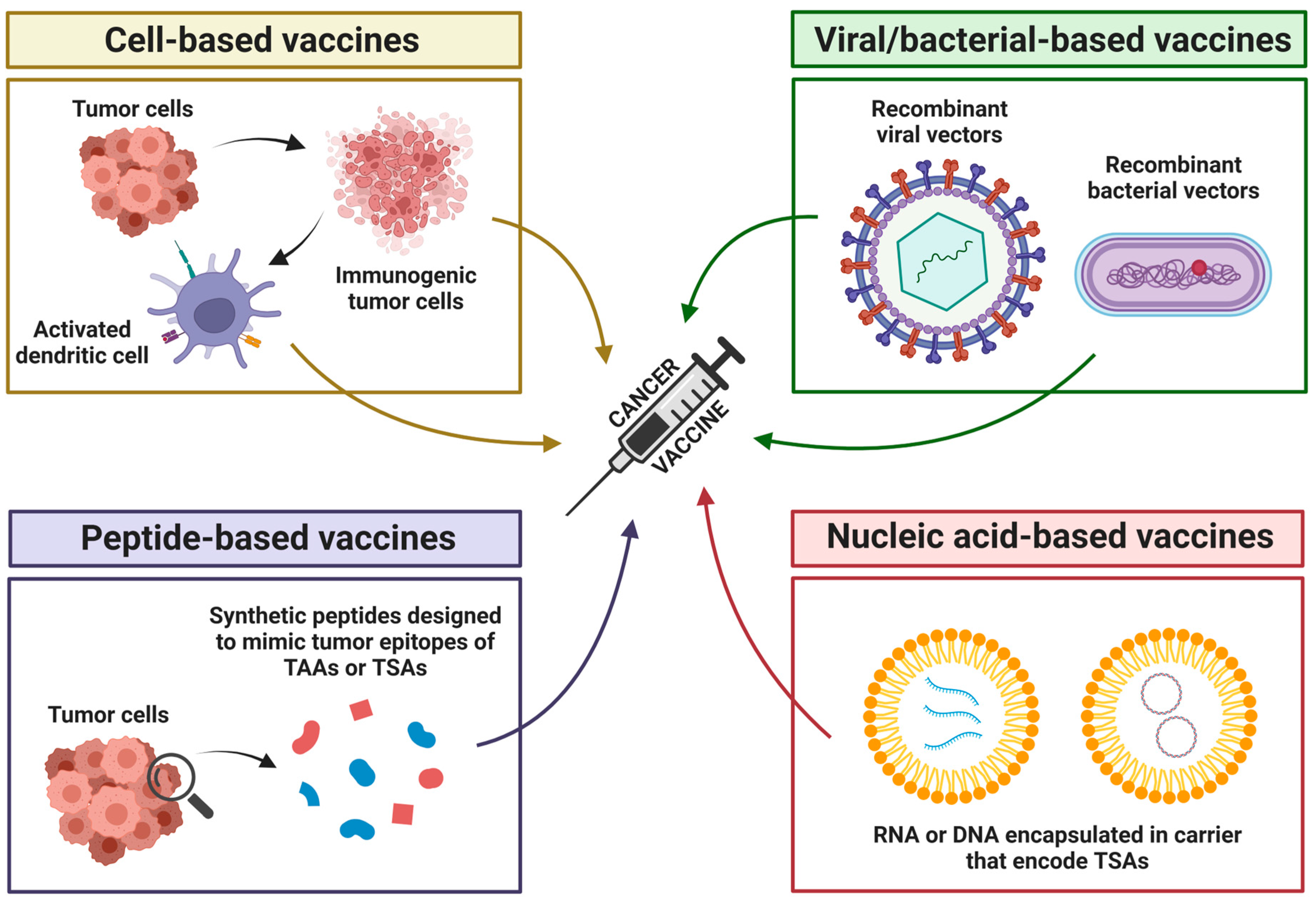 Cancers 17 01008 g005