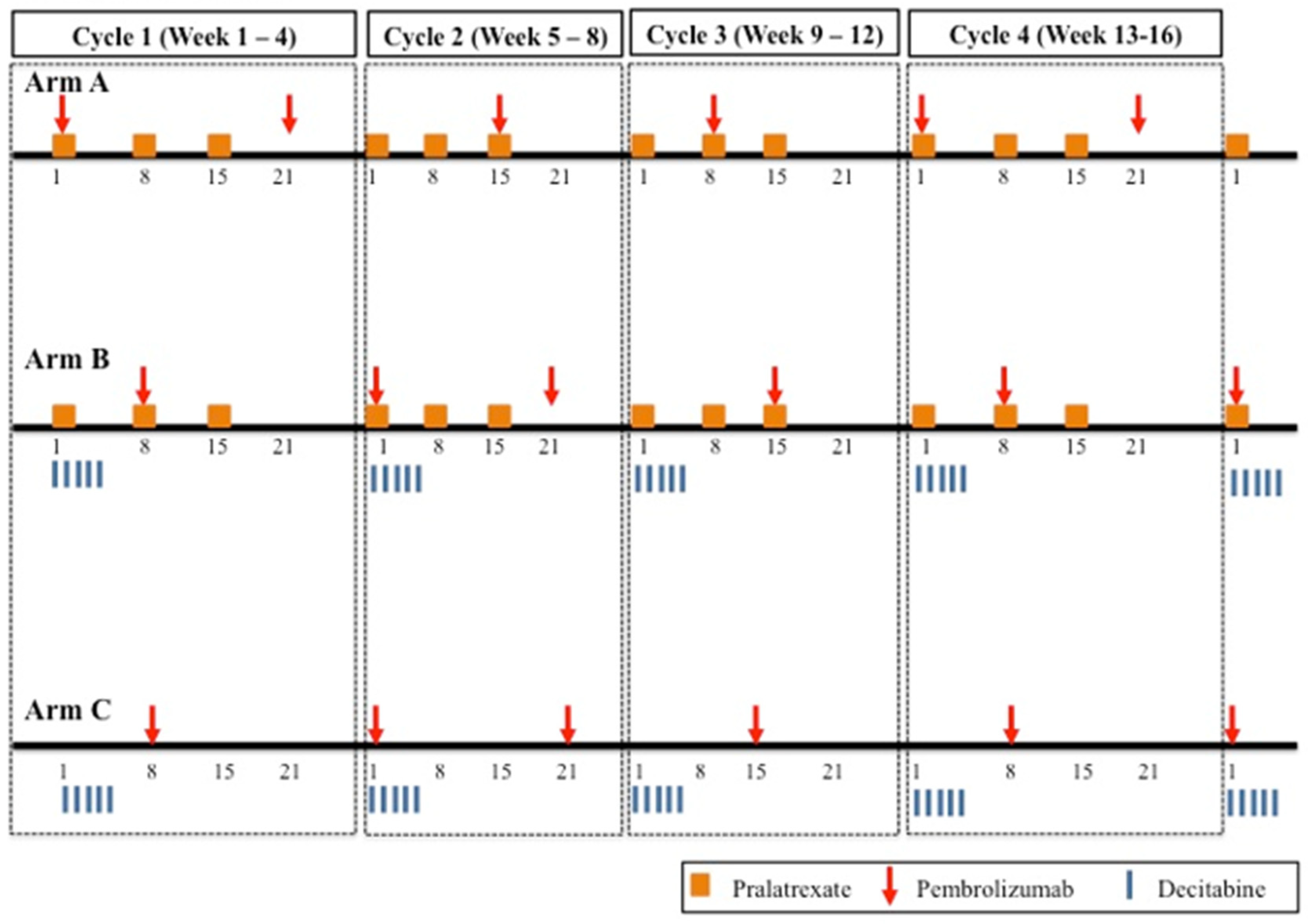 Cancers 17 01038 g001