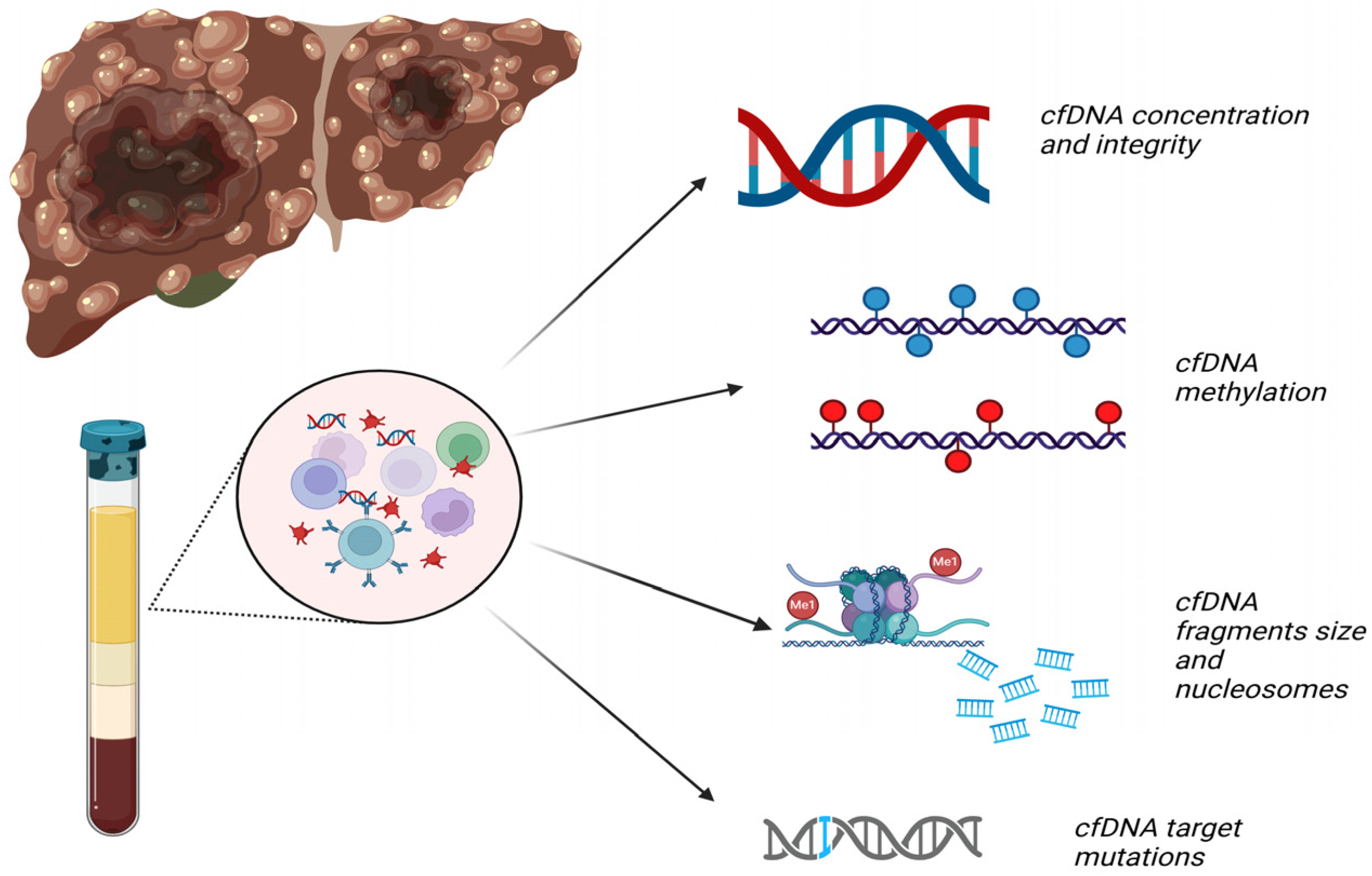 Cancers 17 01042 g003