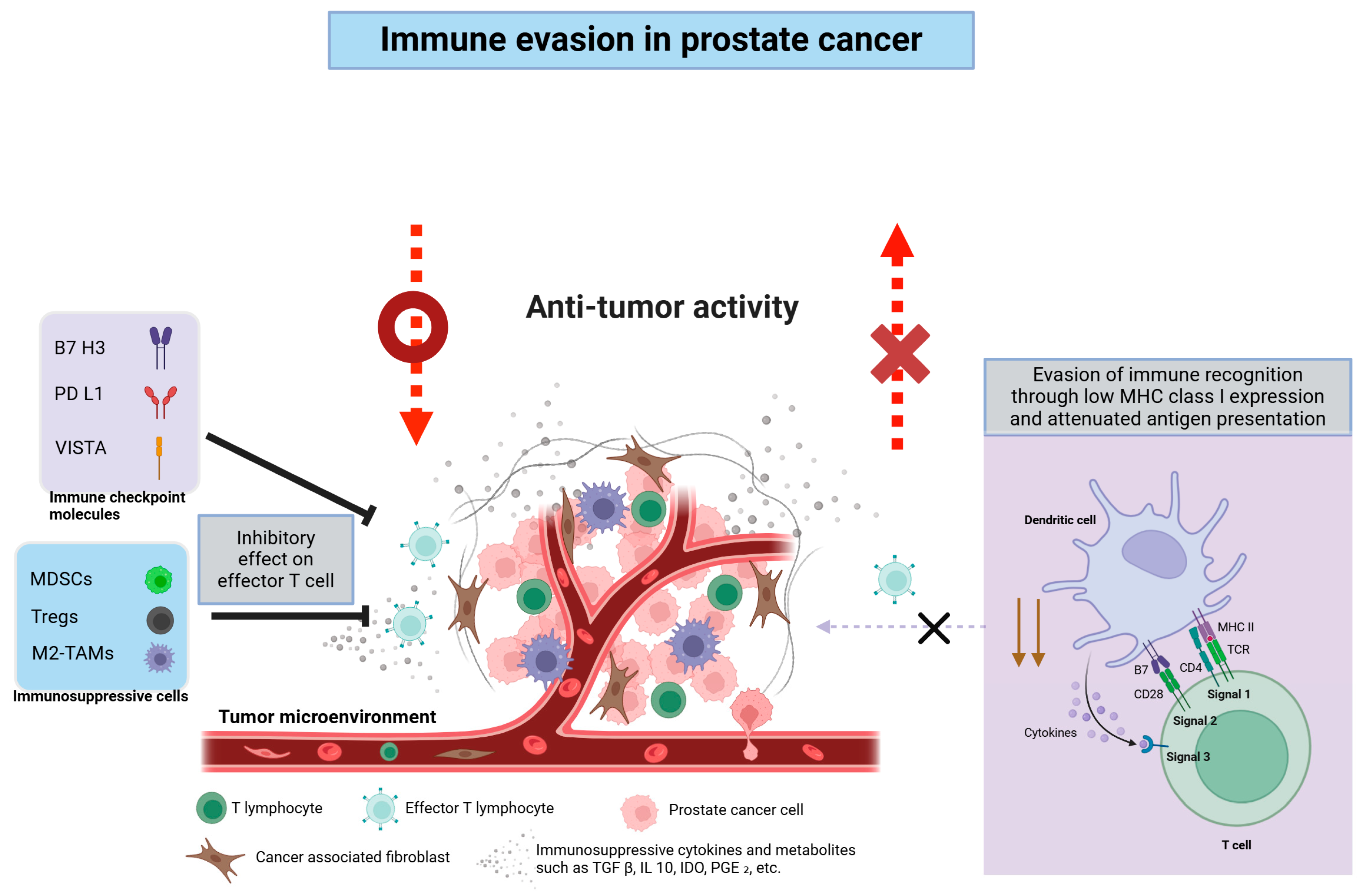 Cancers 17 01064 g001