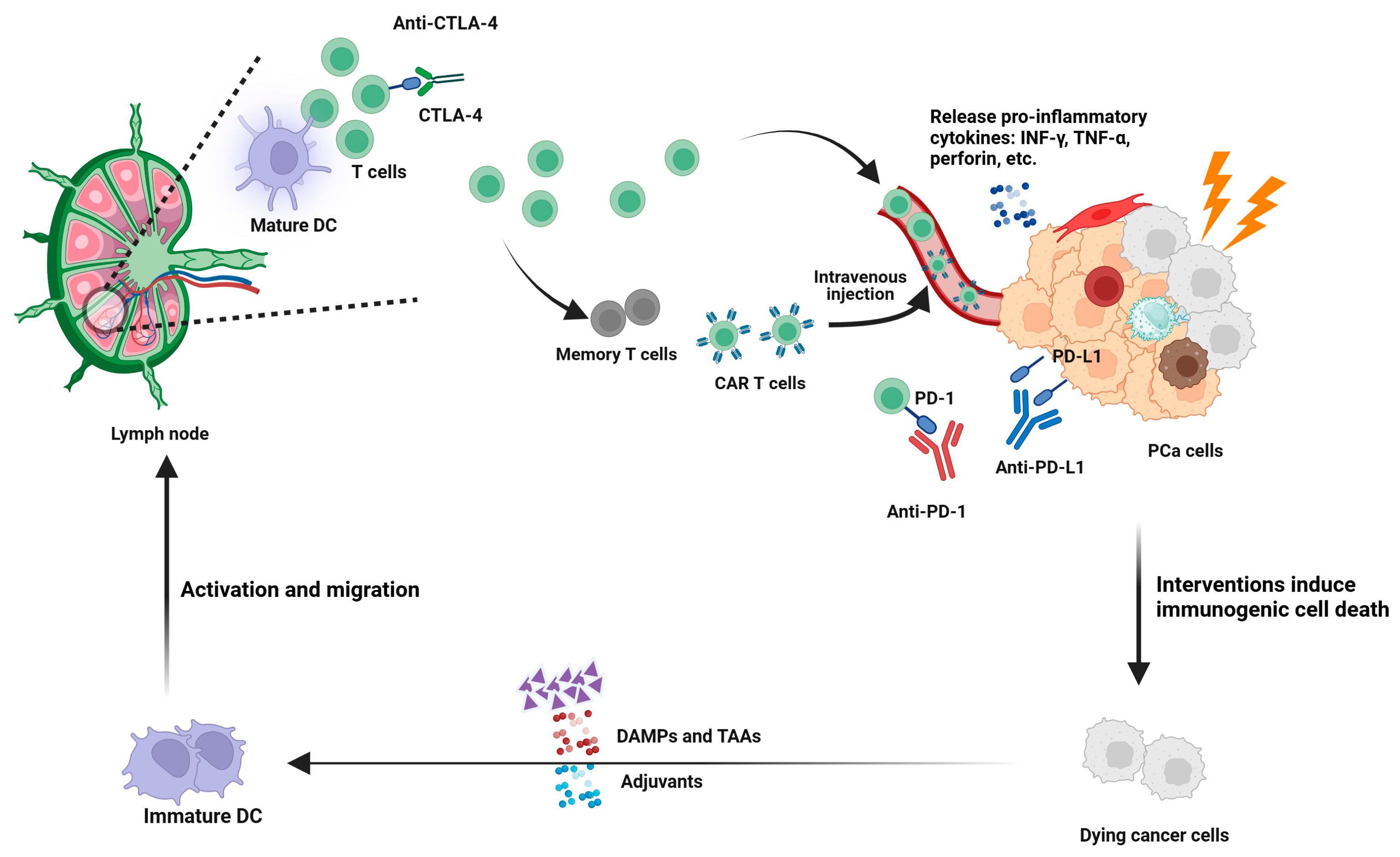 Cancers 17 01064 g003