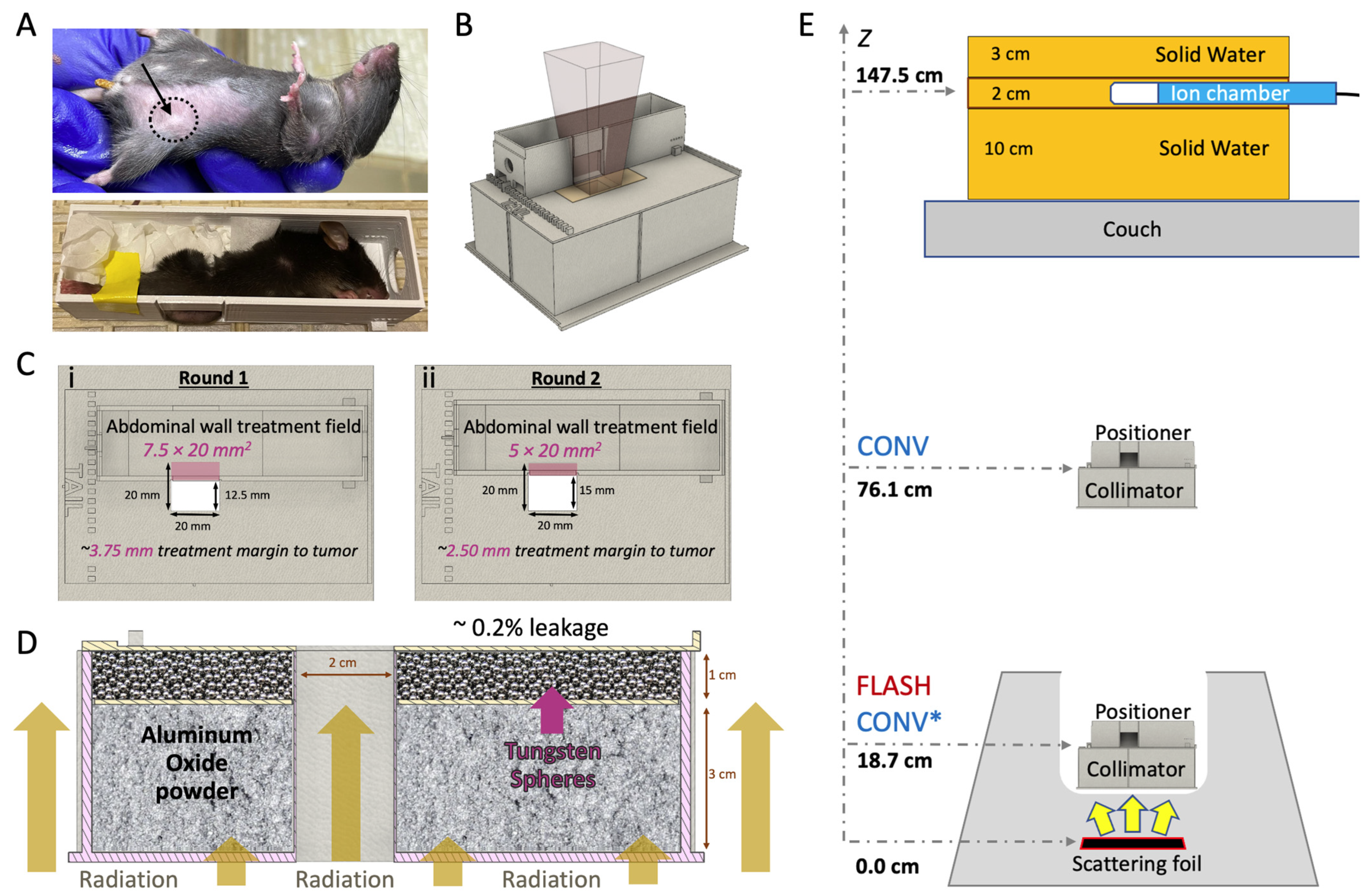Cancers 17 01095 g001