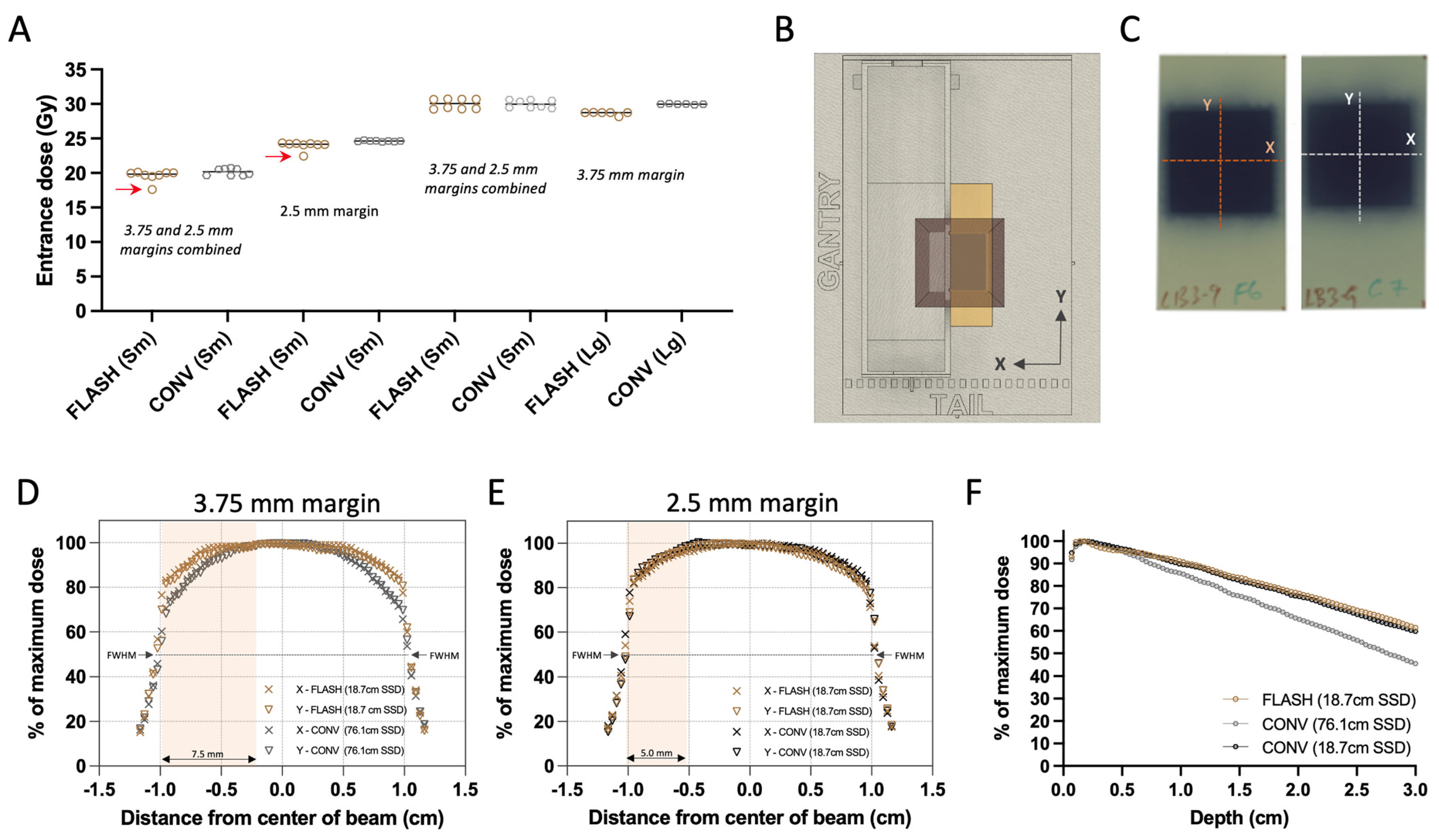 Cancers 17 01095 g002
