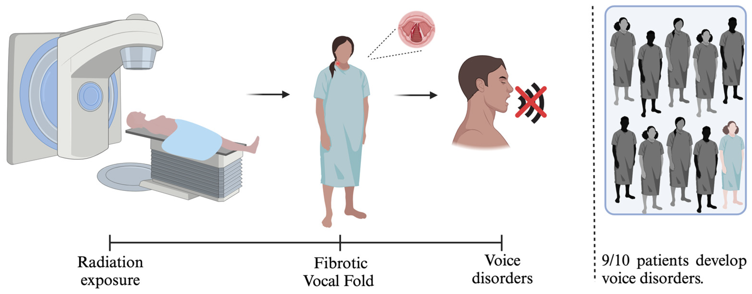 Cancers 17 01108 g004