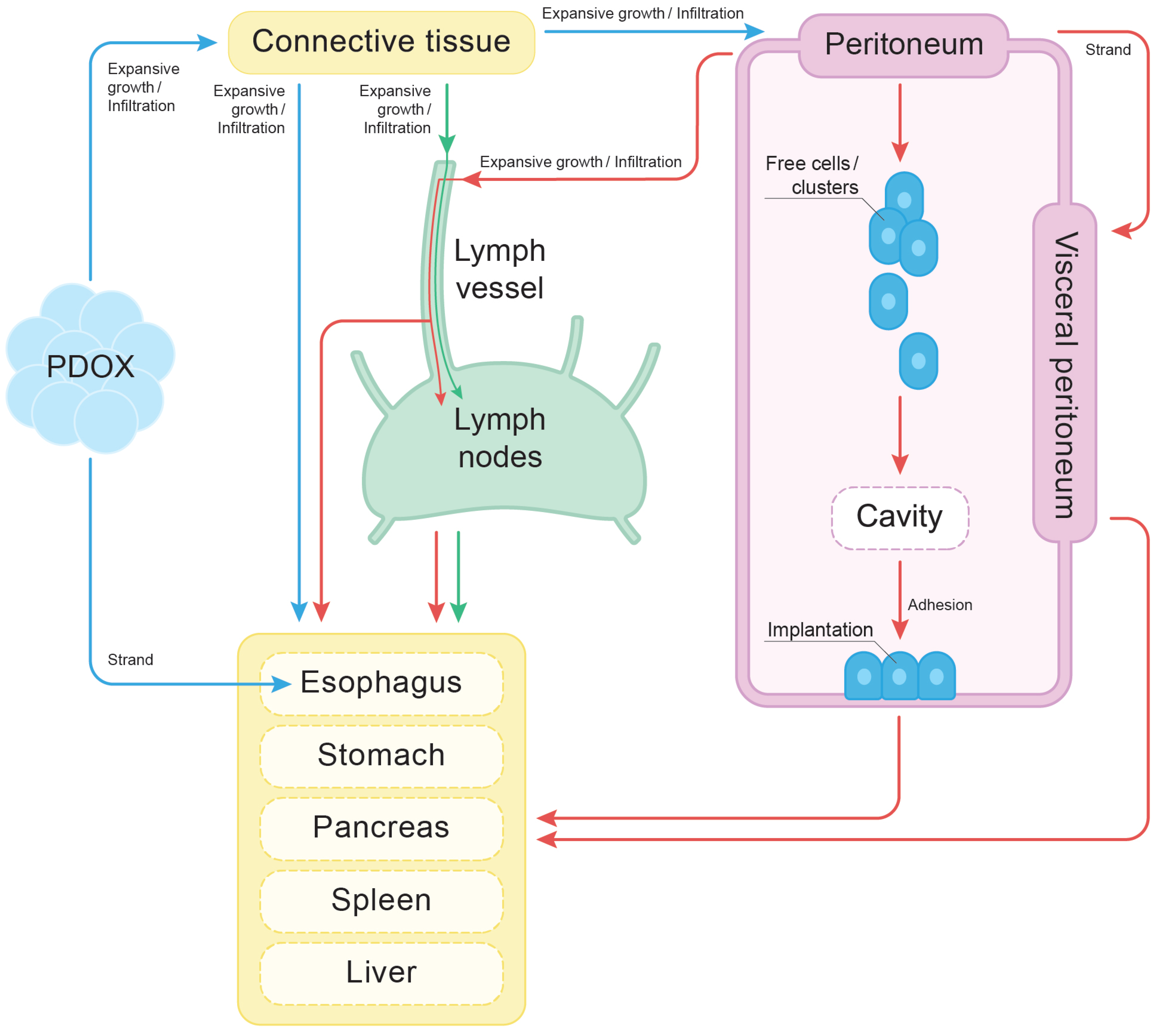 Cancers 17 01139 g012
