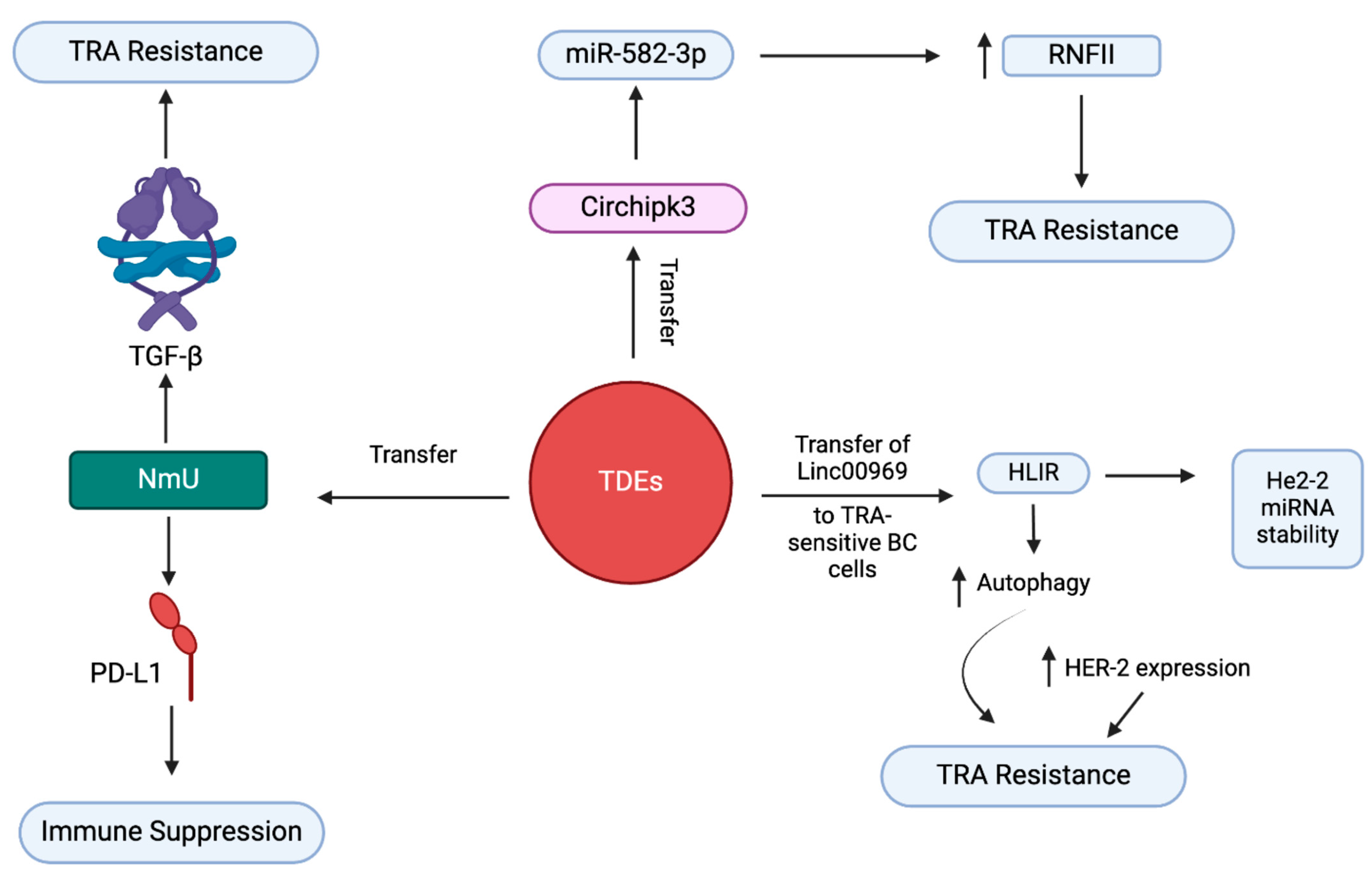 Cancers 17 01167 g006