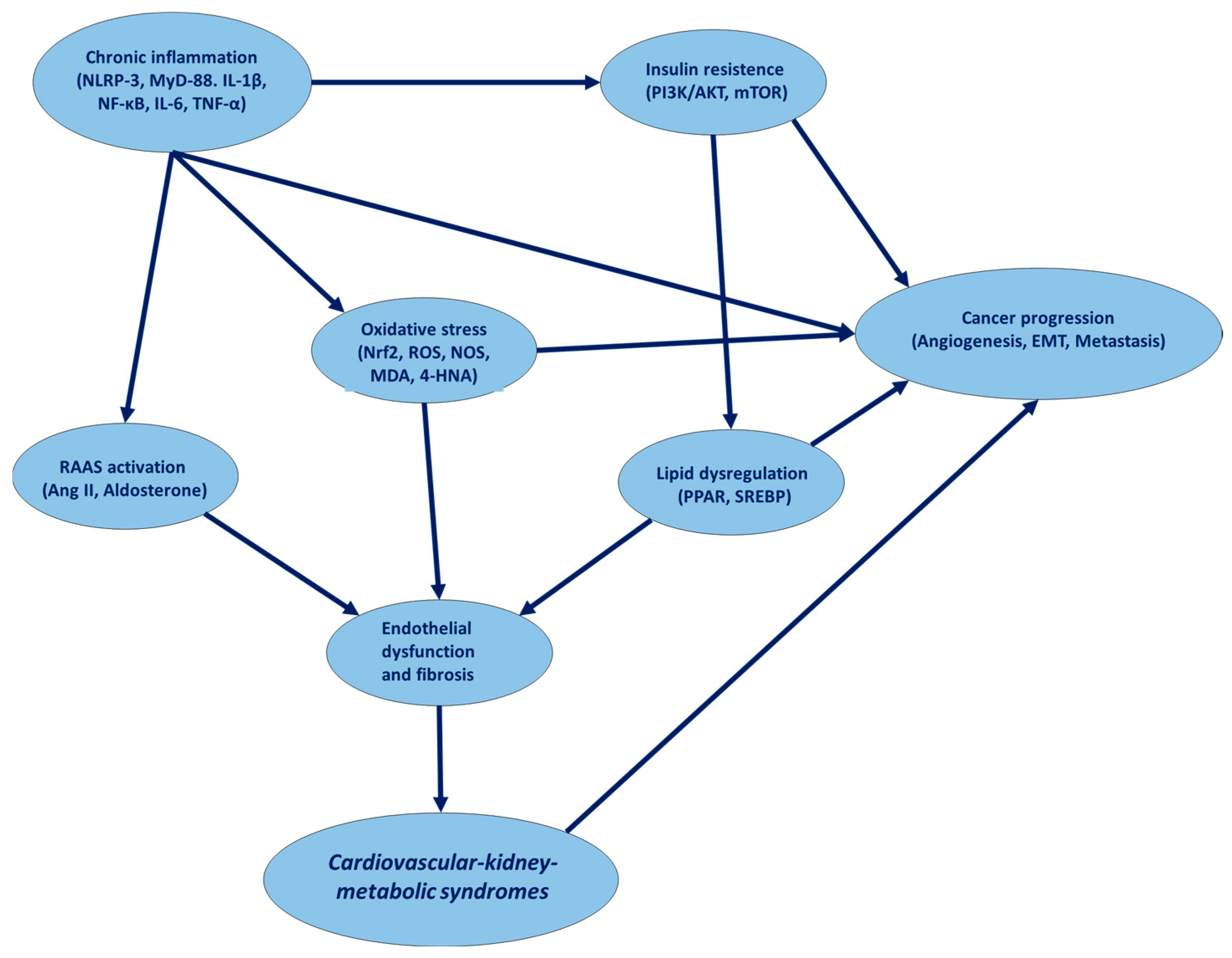 Cancers 17 01169 g001