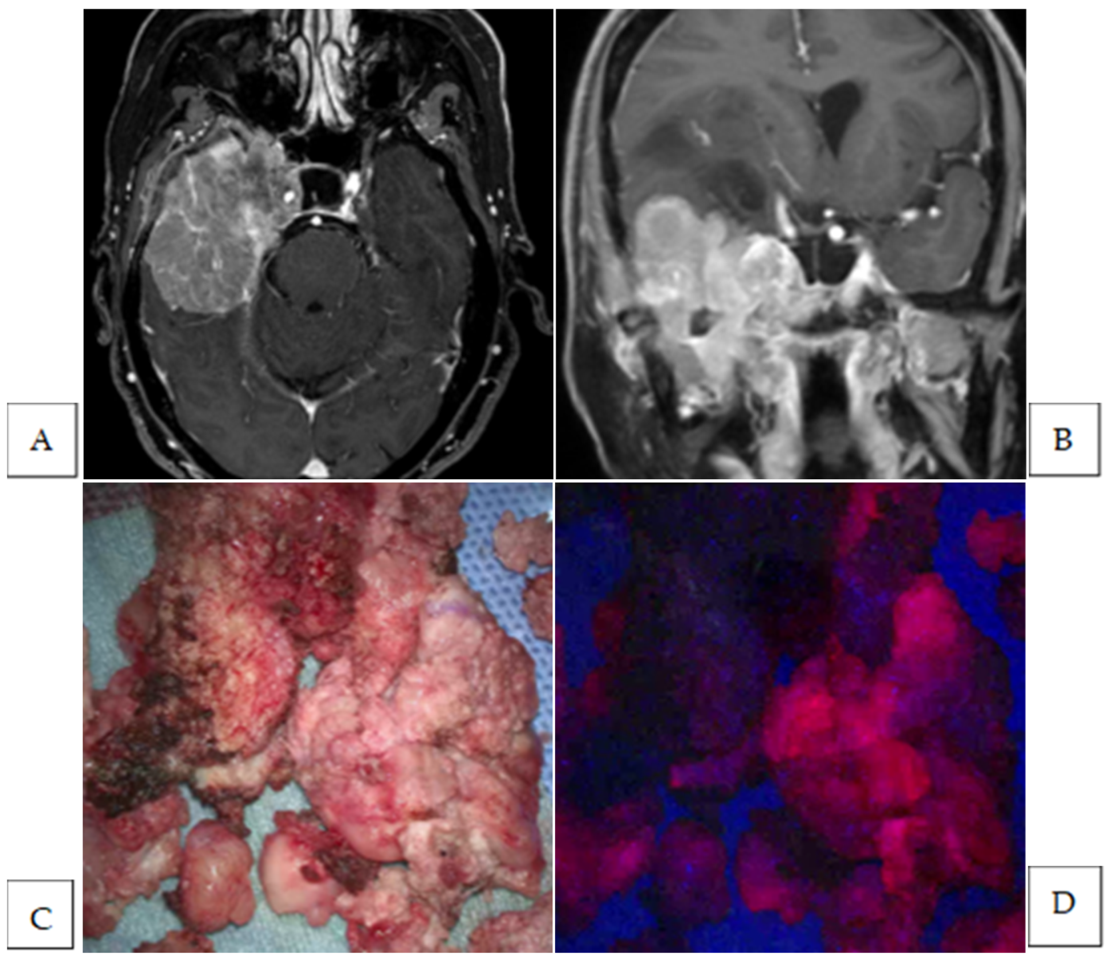 Cancers 17 01191 g002a