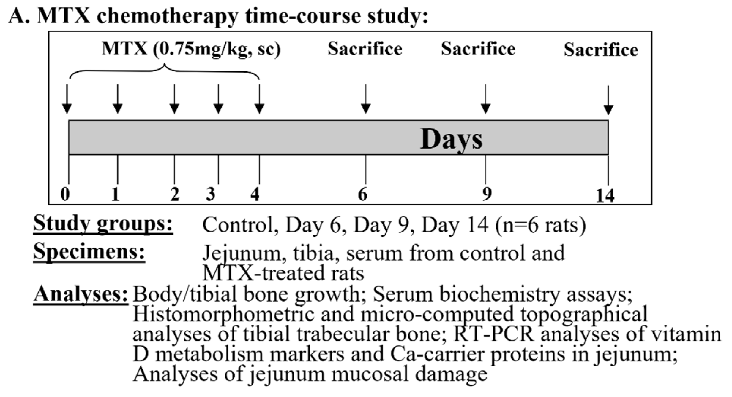 Cancers 17 01207 g001a