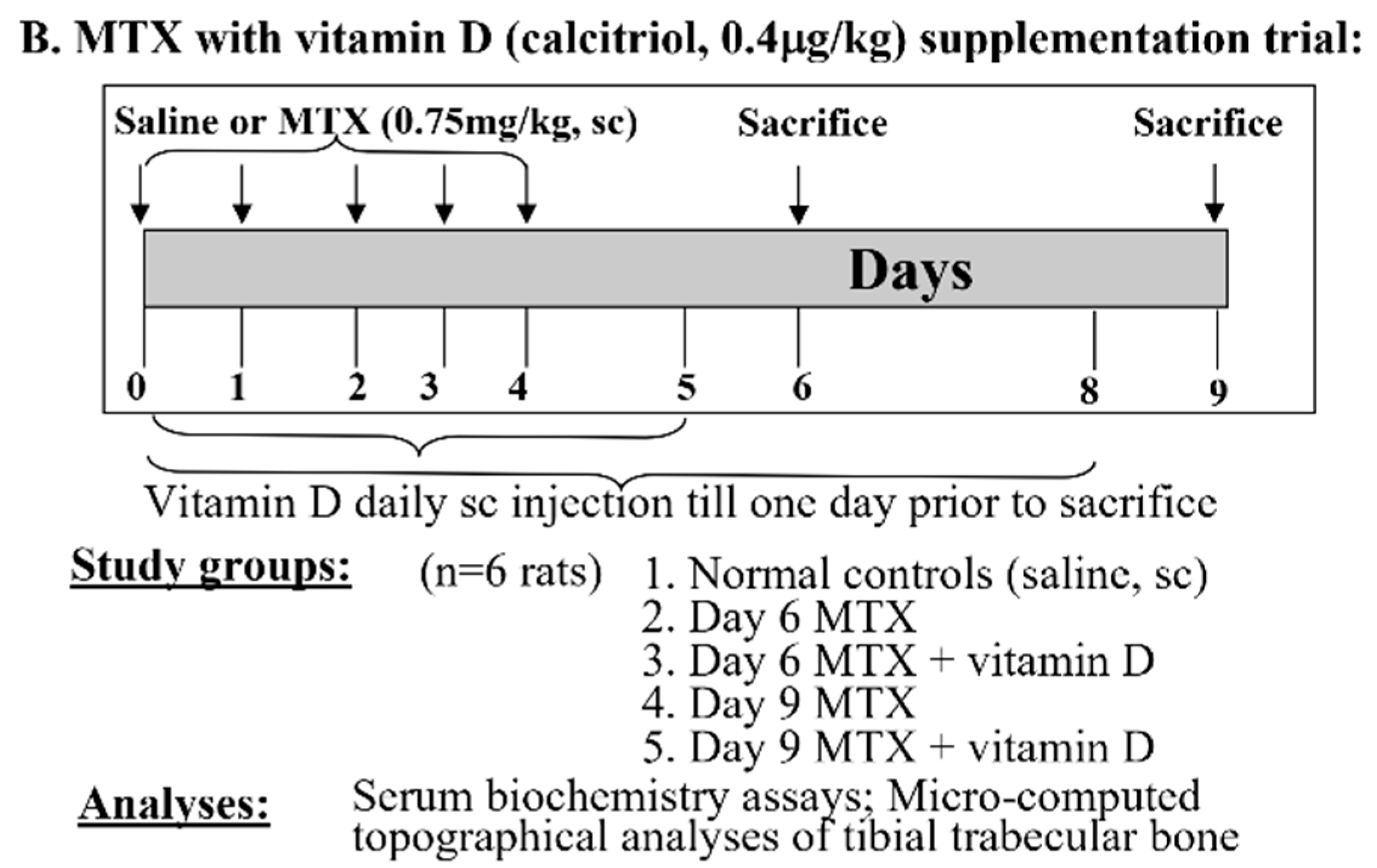 Cancers 17 01207 g001b