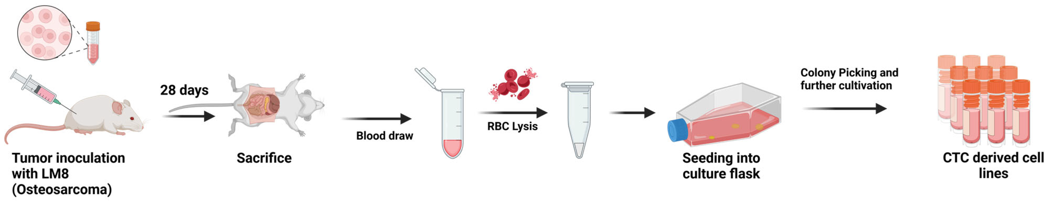 Cancers 17 01210 g001