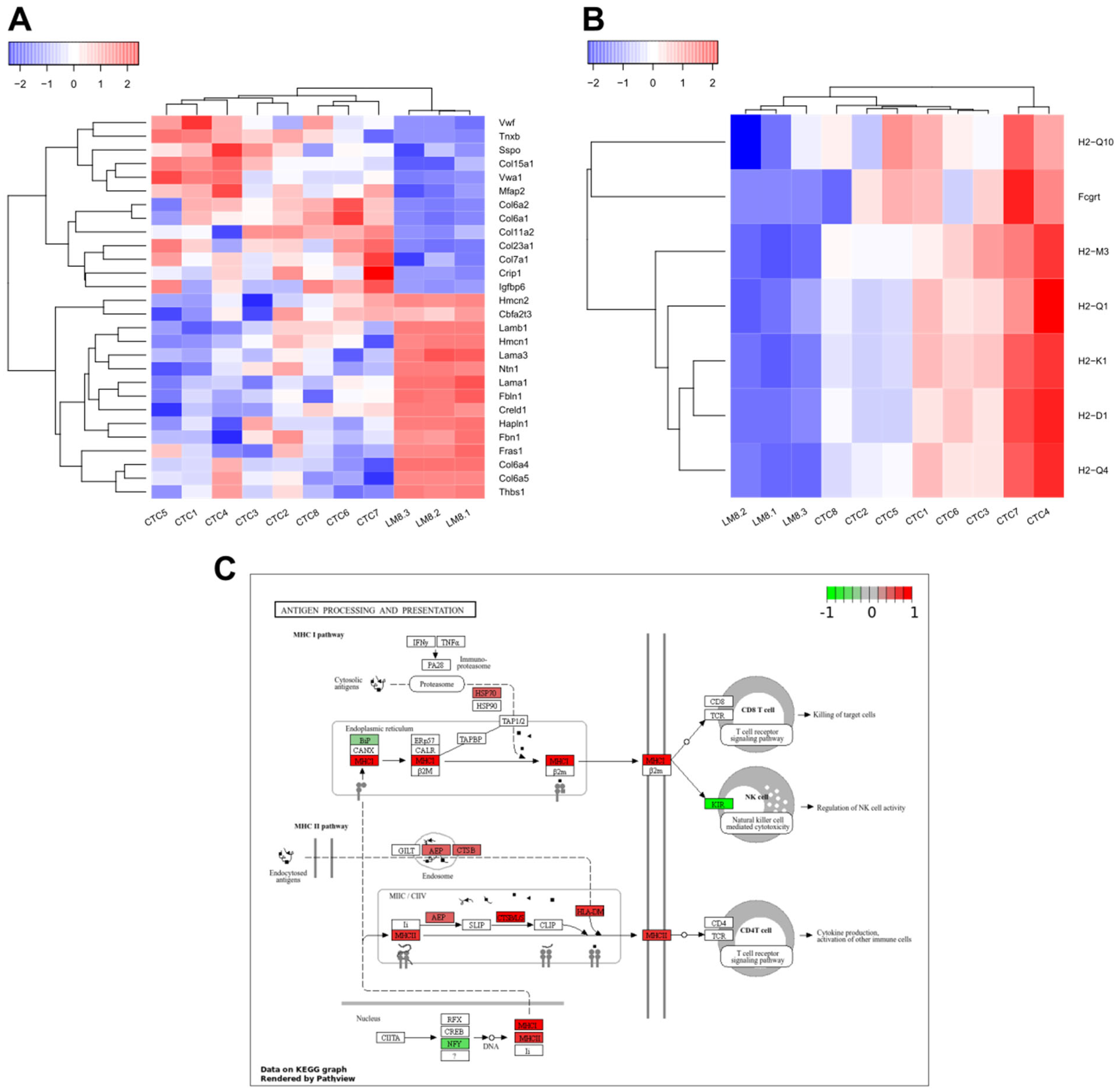 Cancers 17 01210 g005