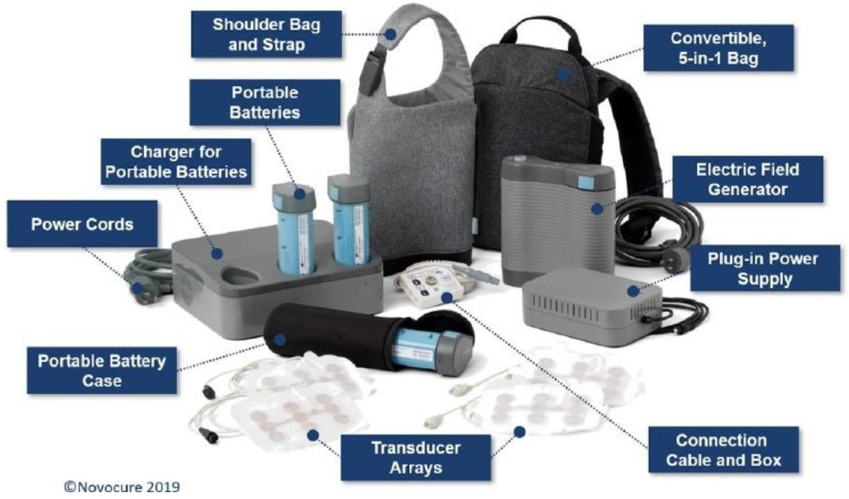 Cancers 17 01211 g002