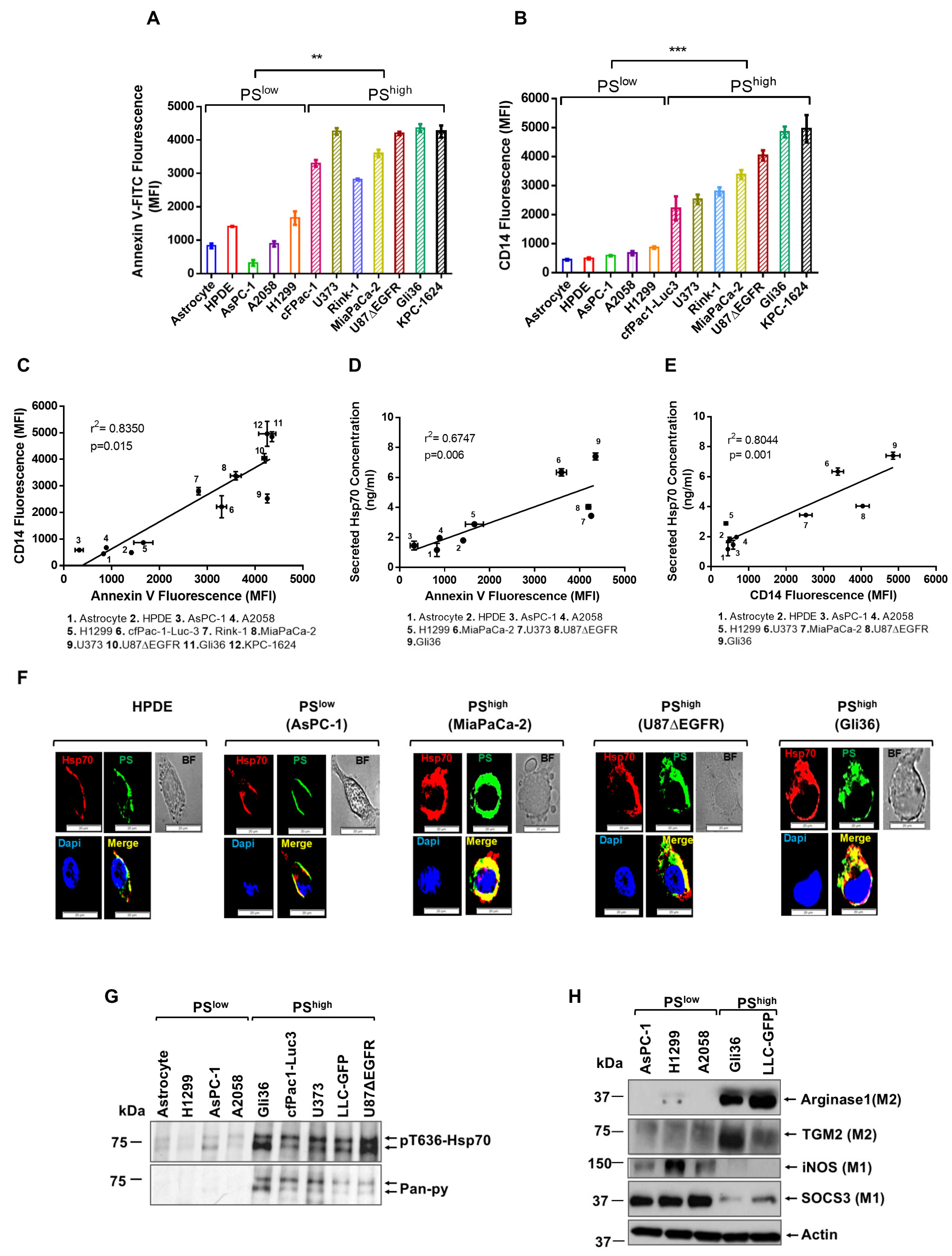Cancers 17 01224 g001