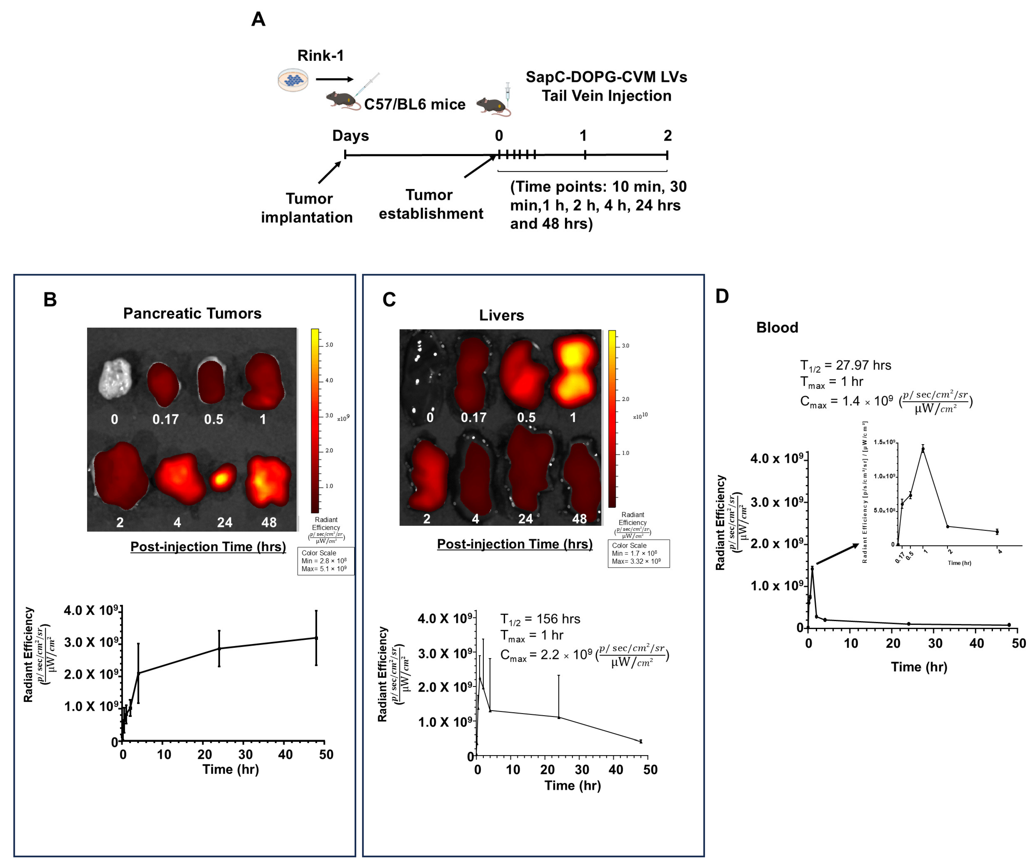 Cancers 17 01224 g005