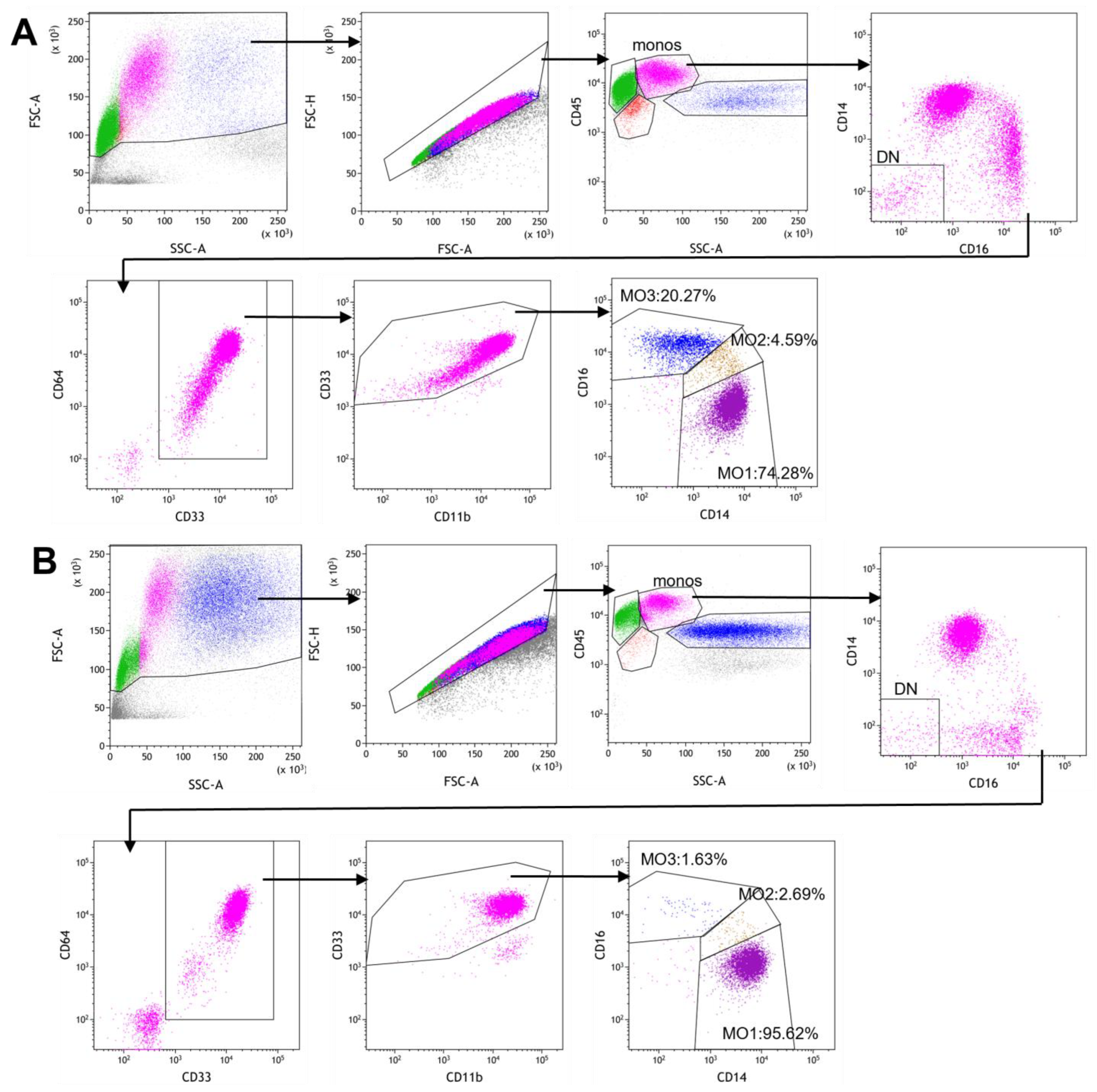 Cancers 17 01229 g001