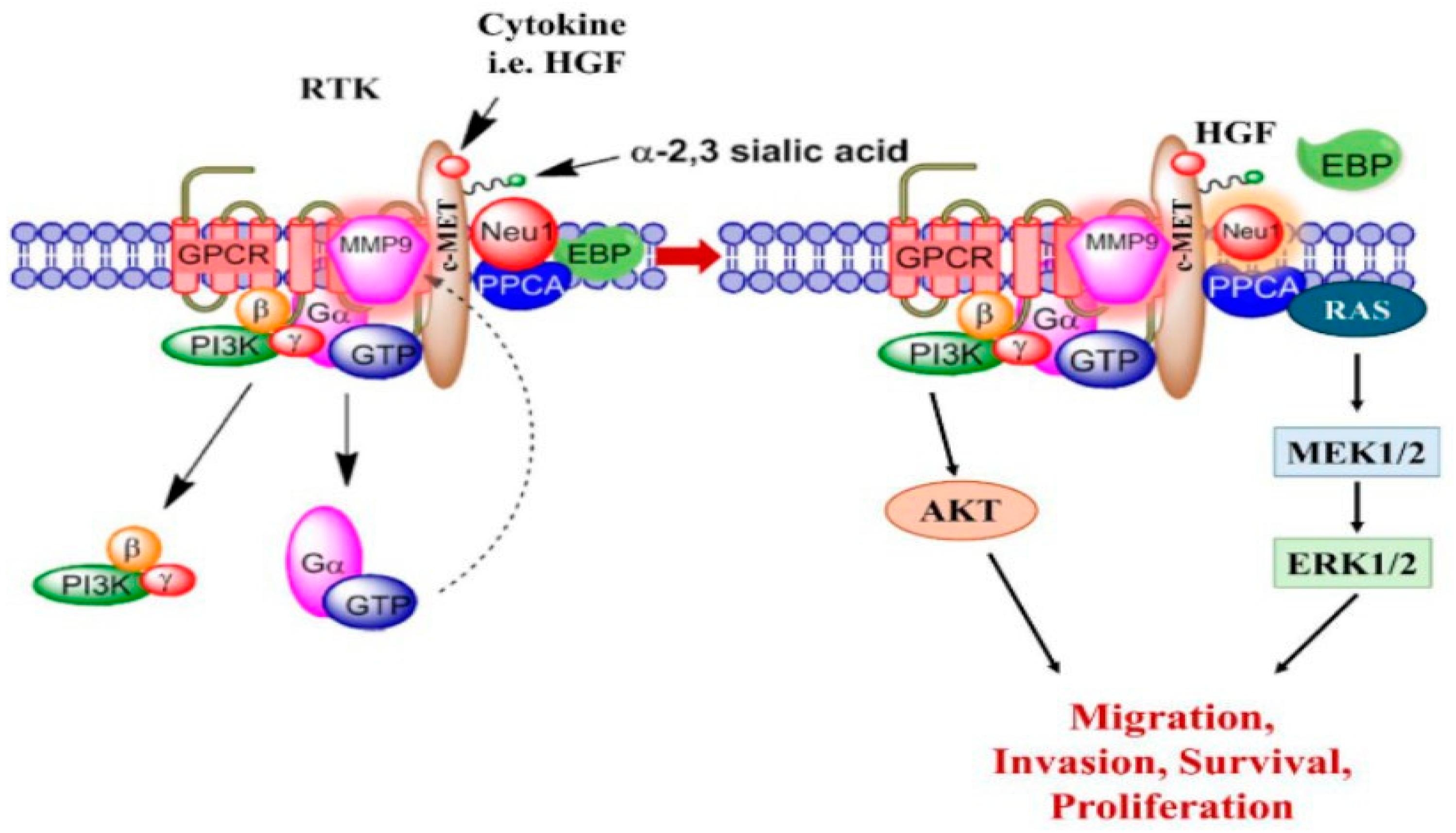 Cancers 17 01234 g001 Cancers 17 01234 g001