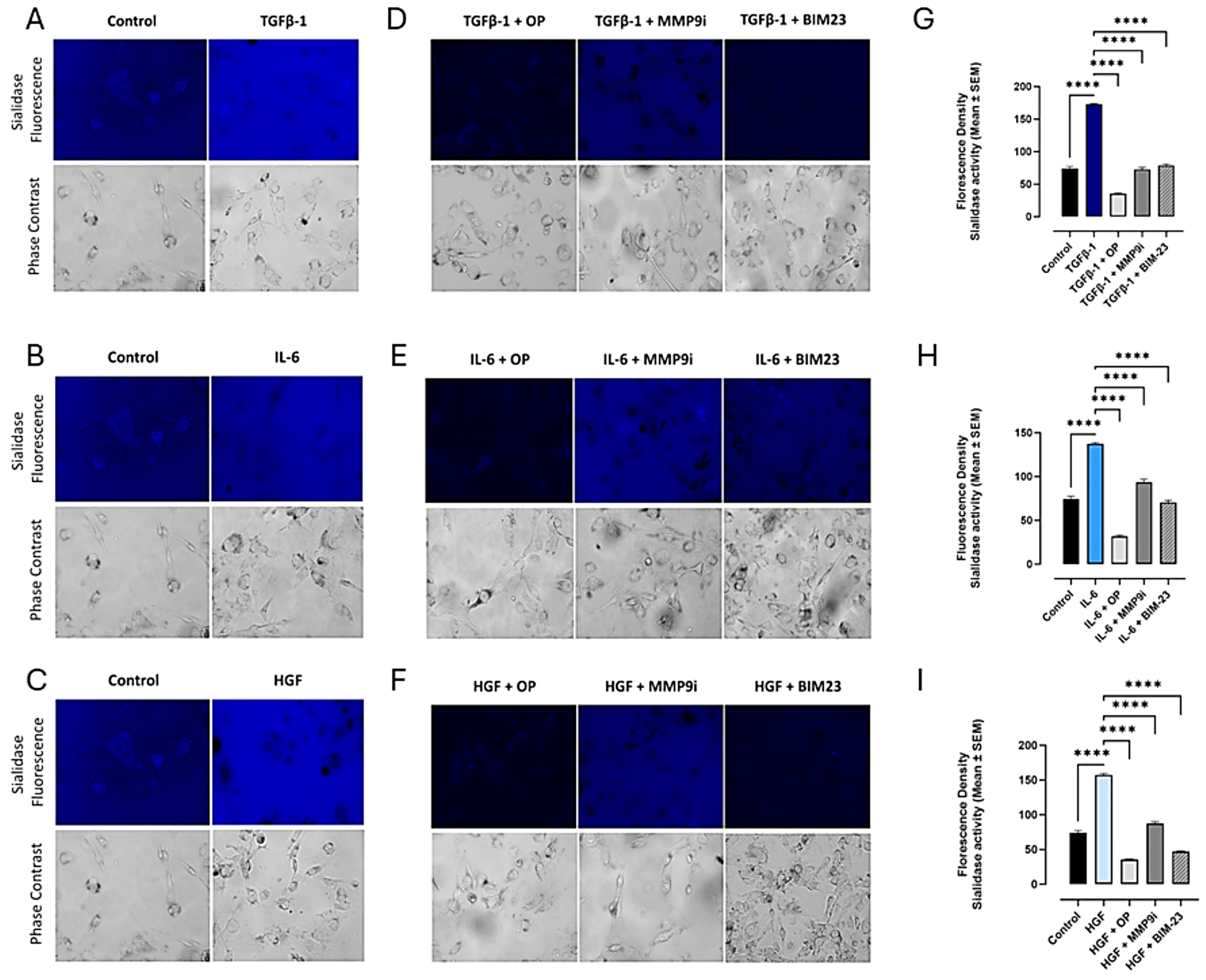 Cancers 17 01234 g004 Cancers 17 01234 g004