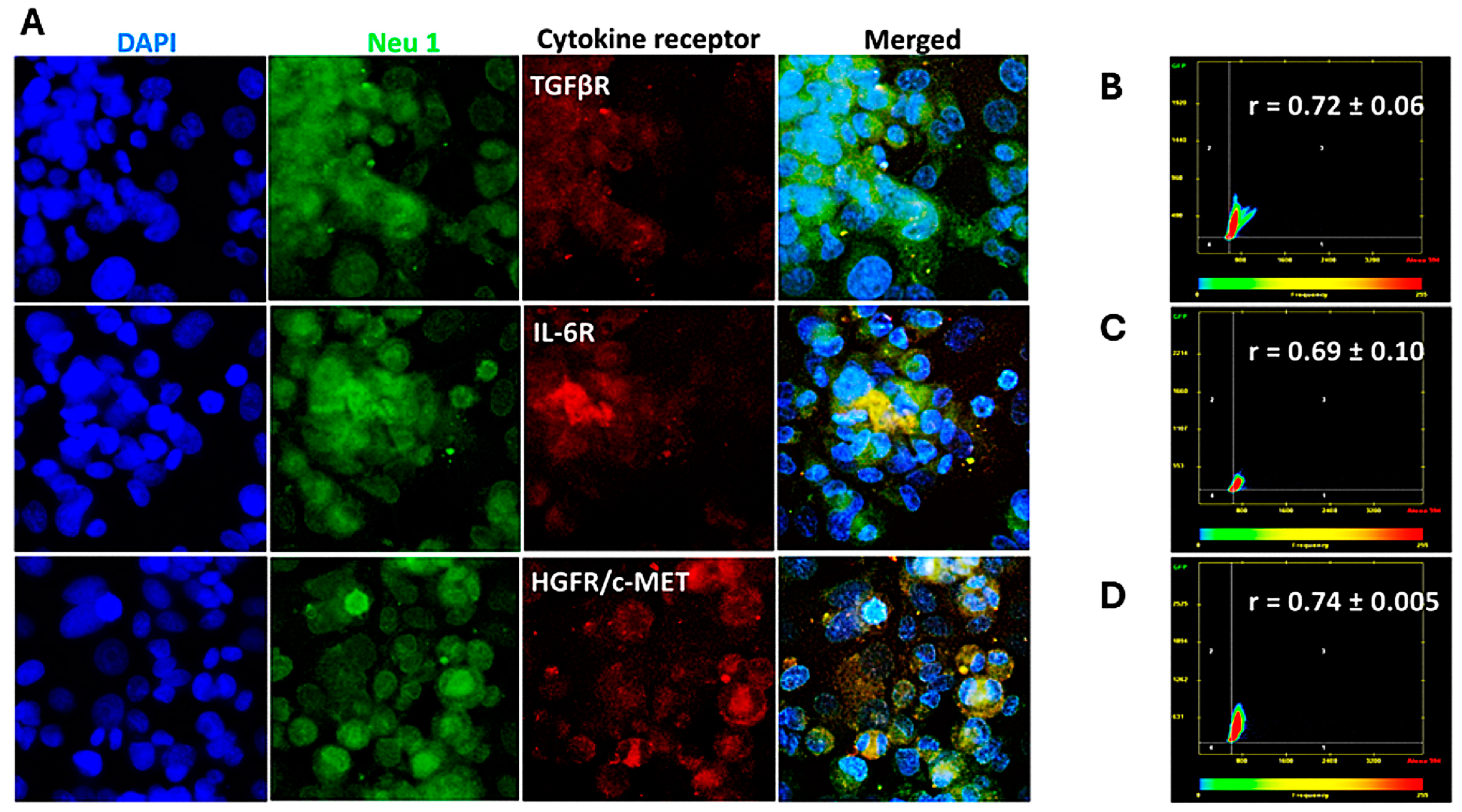 Cancers 17 01234 g005 Cancers 17 01234 g005