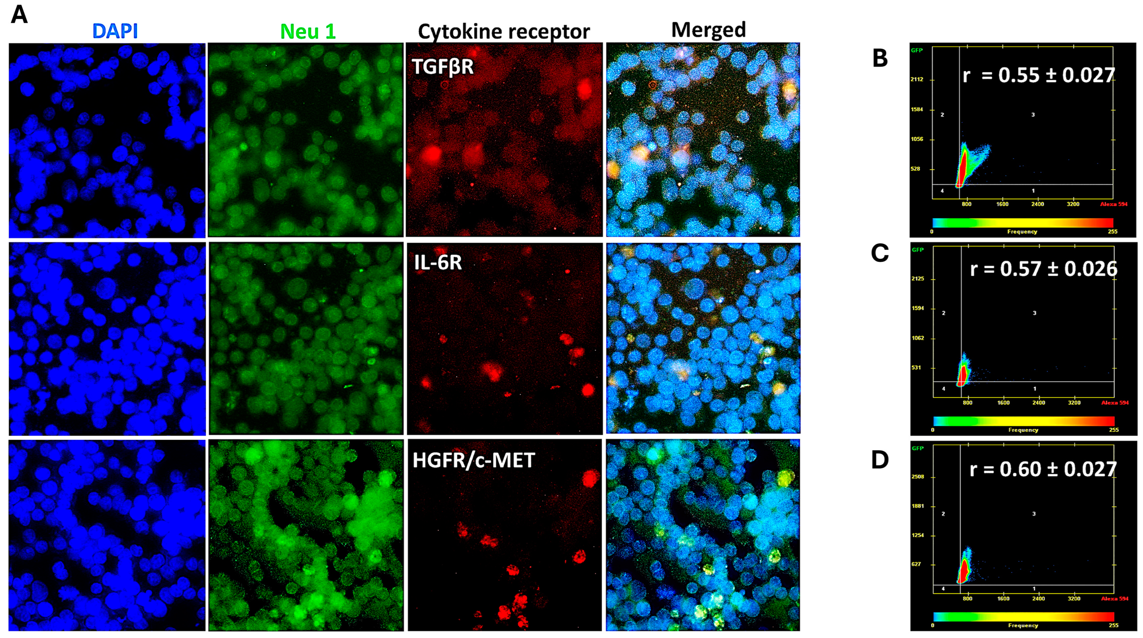 Cancers 17 01234 g006 Cancers 17 01234 g006