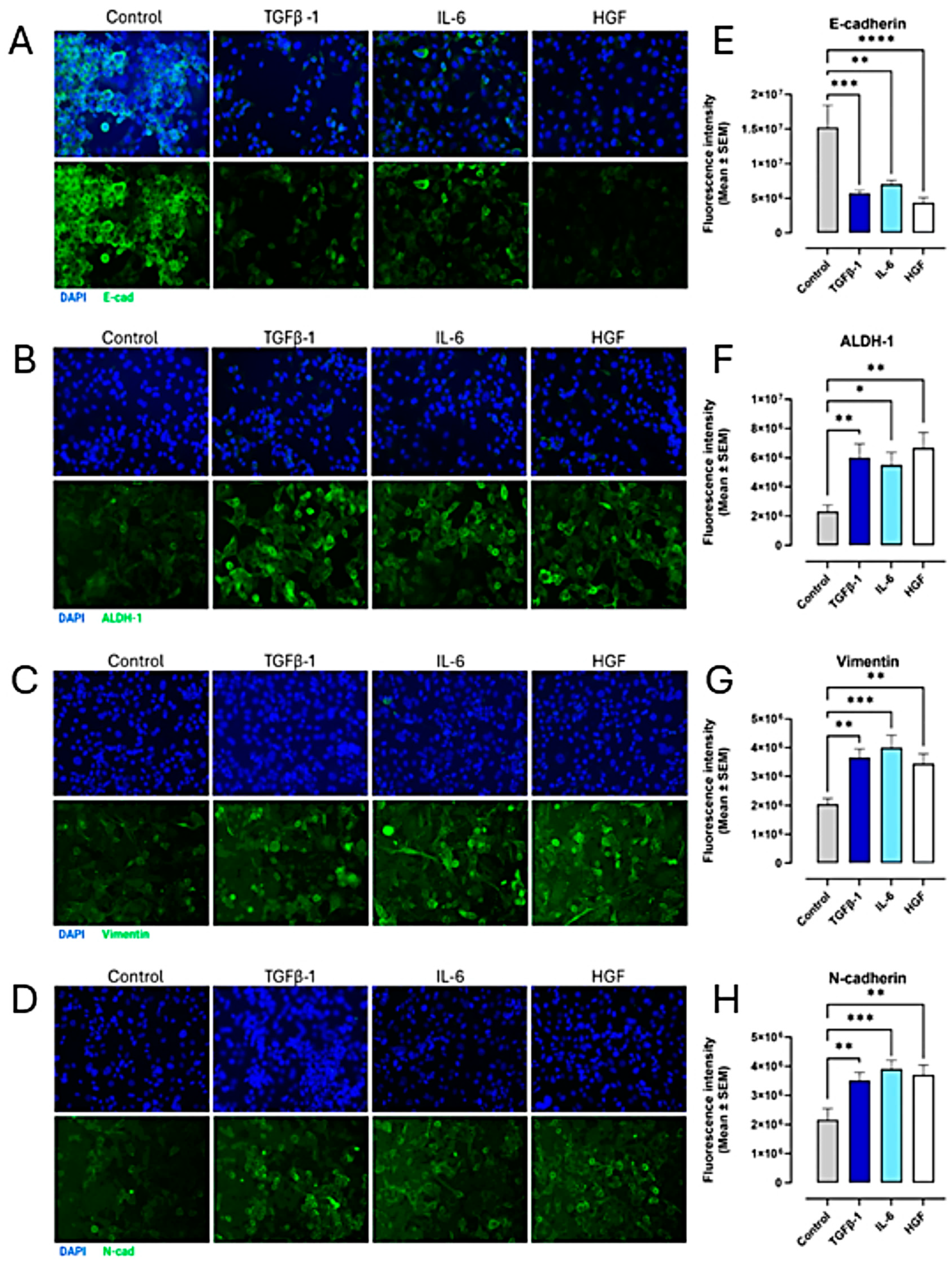Cancers 17 01234 g009 Cancers 17 01234 g009