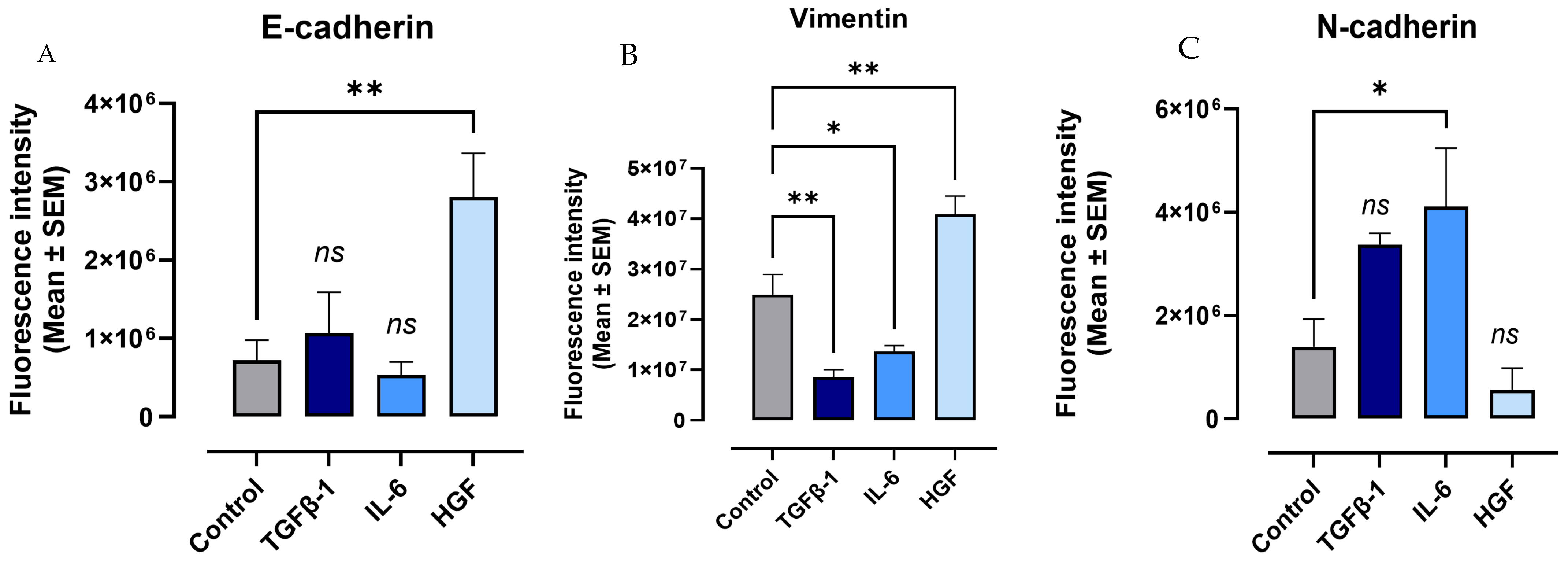 Cancers 17 01234 g014 Cancers 17 01234 g014