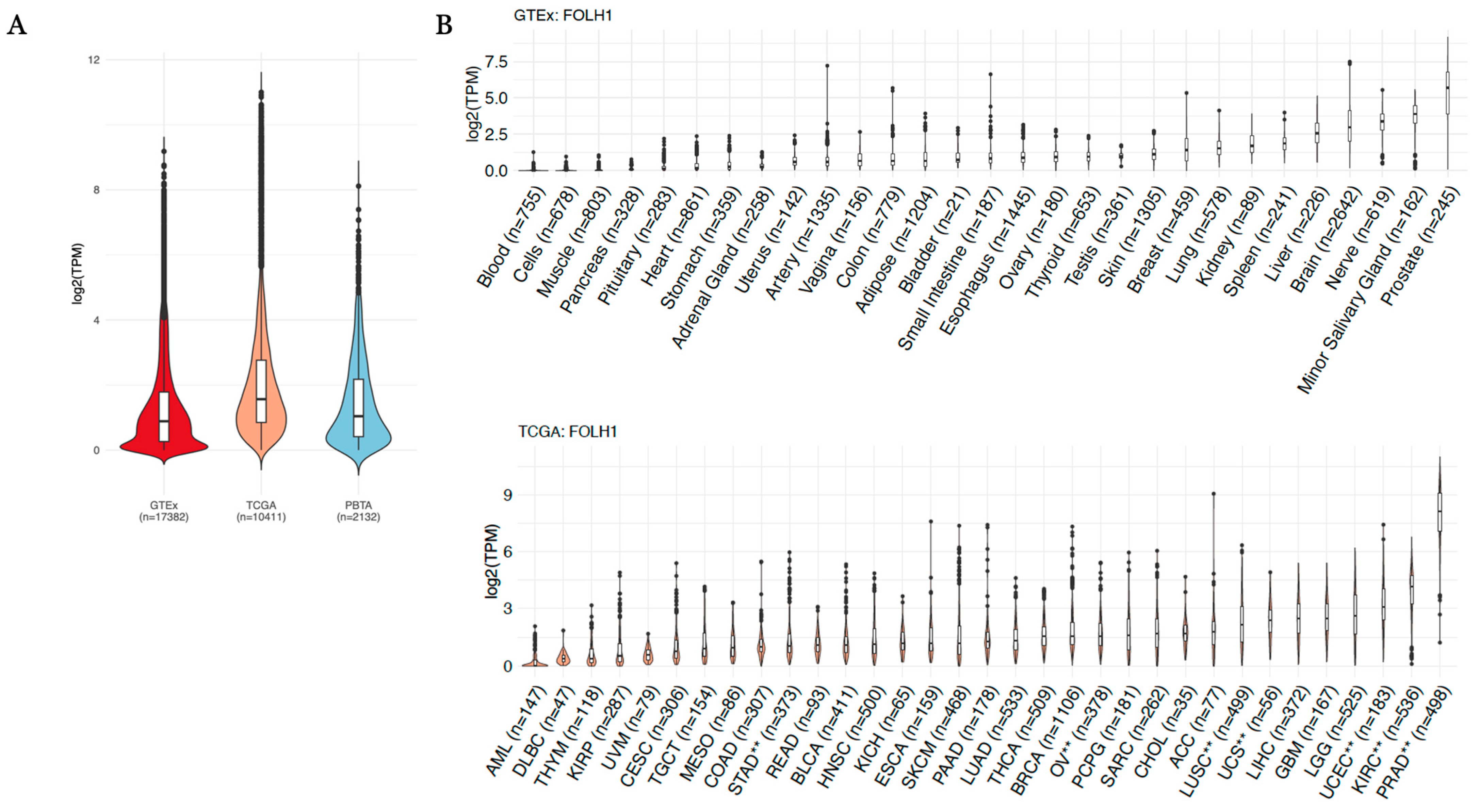 Cancers 17 01239 g001