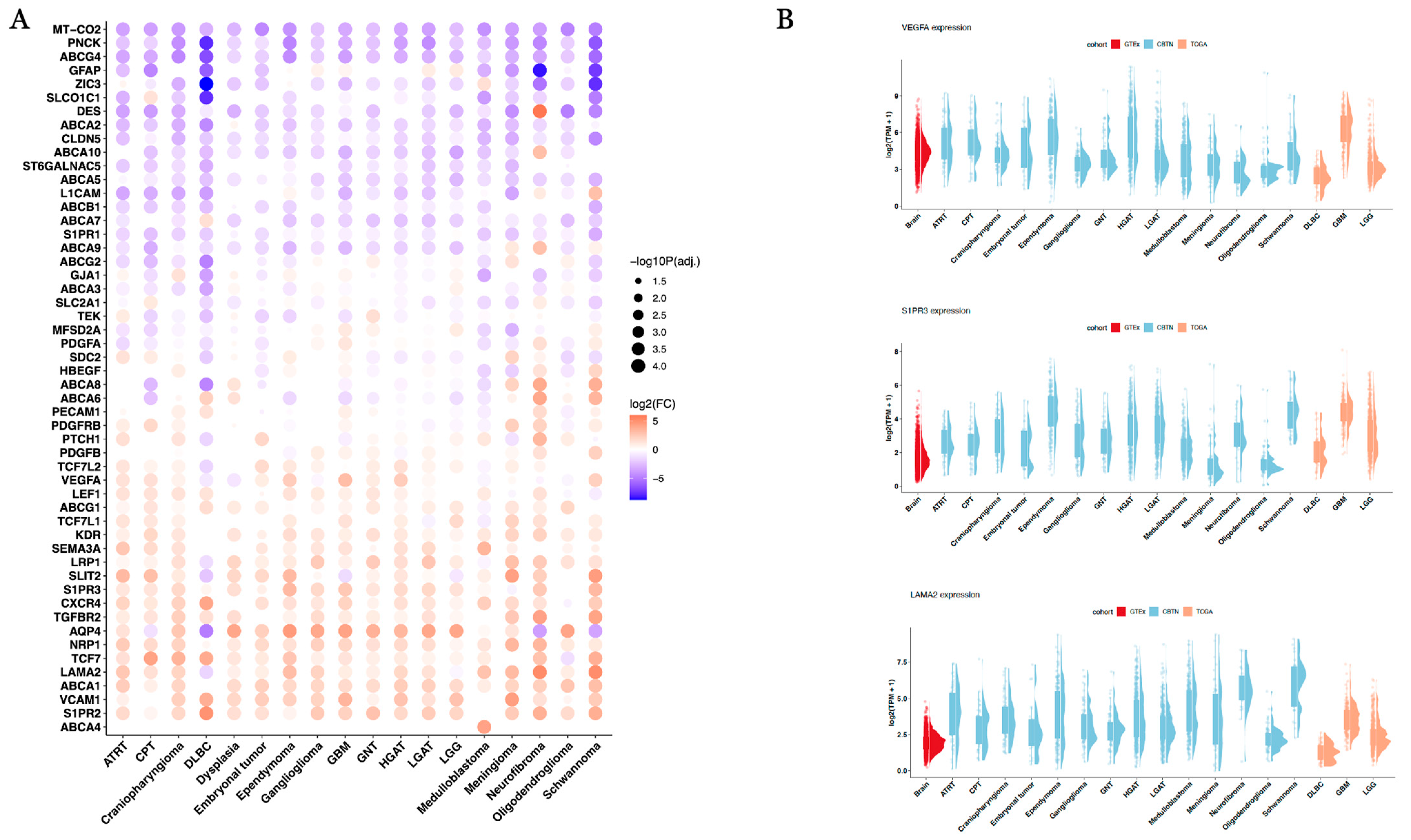 Cancers 17 01239 g003