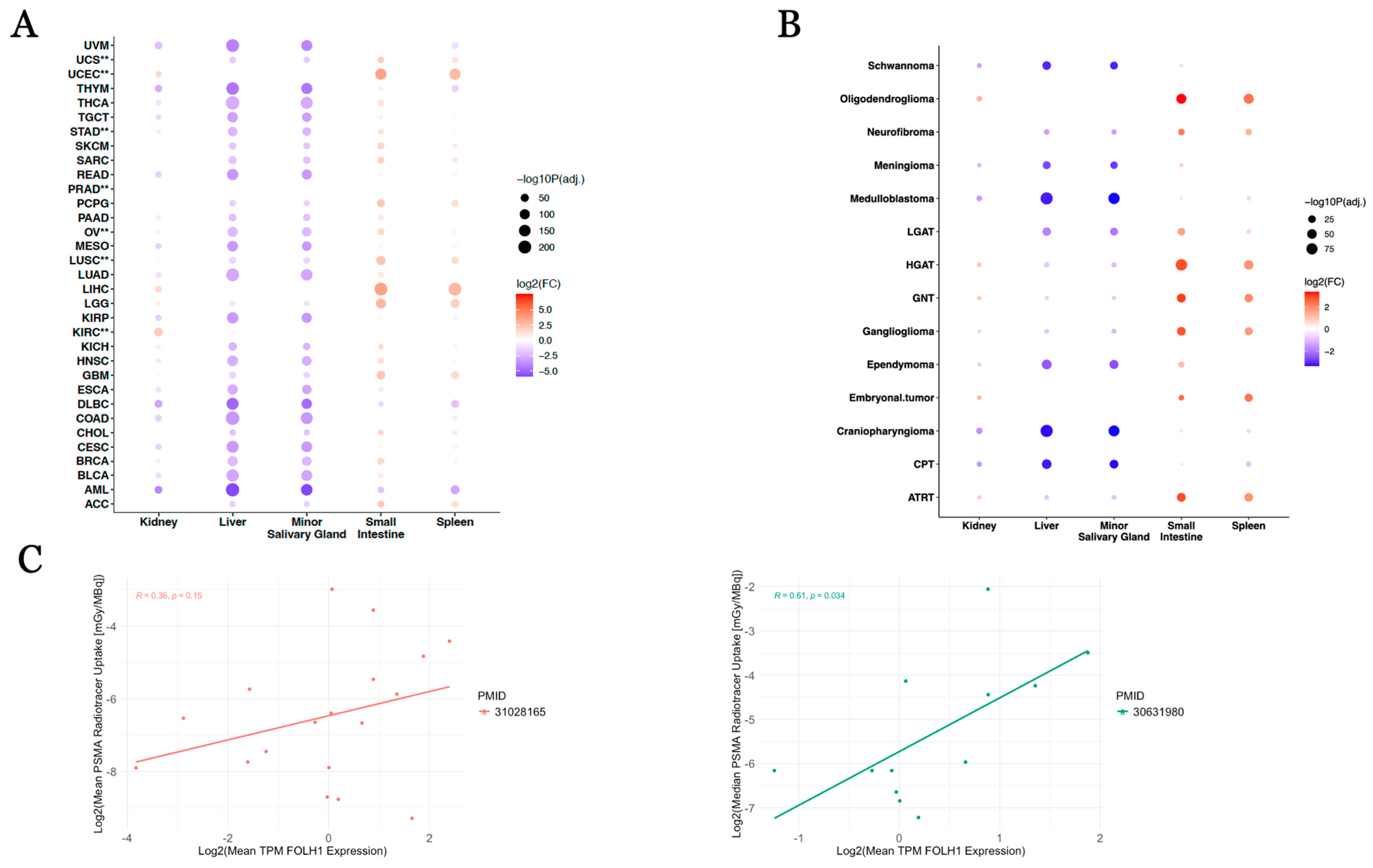 Cancers 17 01239 g004